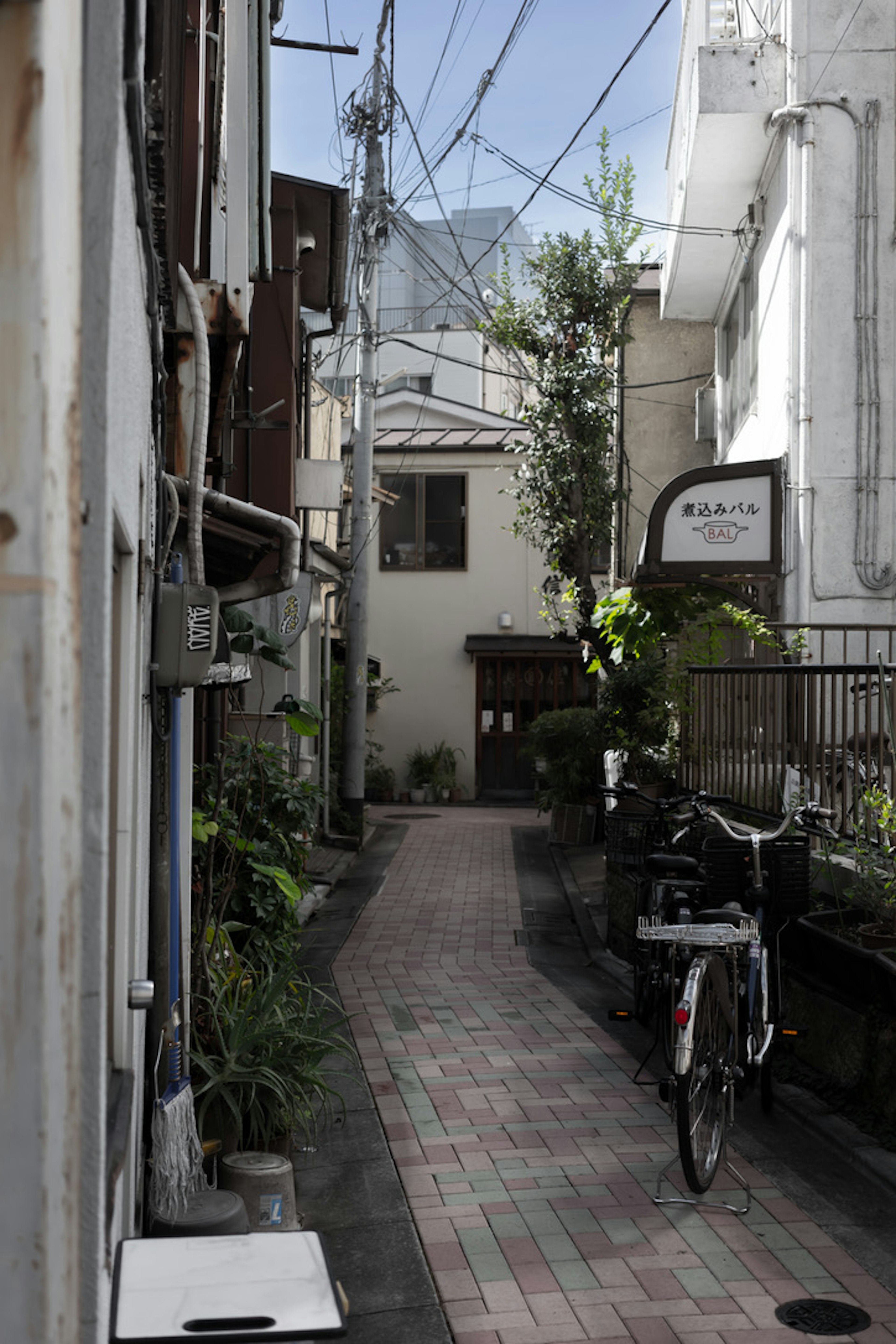 狭い路地に自転車が置かれた風景周囲に緑があり近くの建物が見える