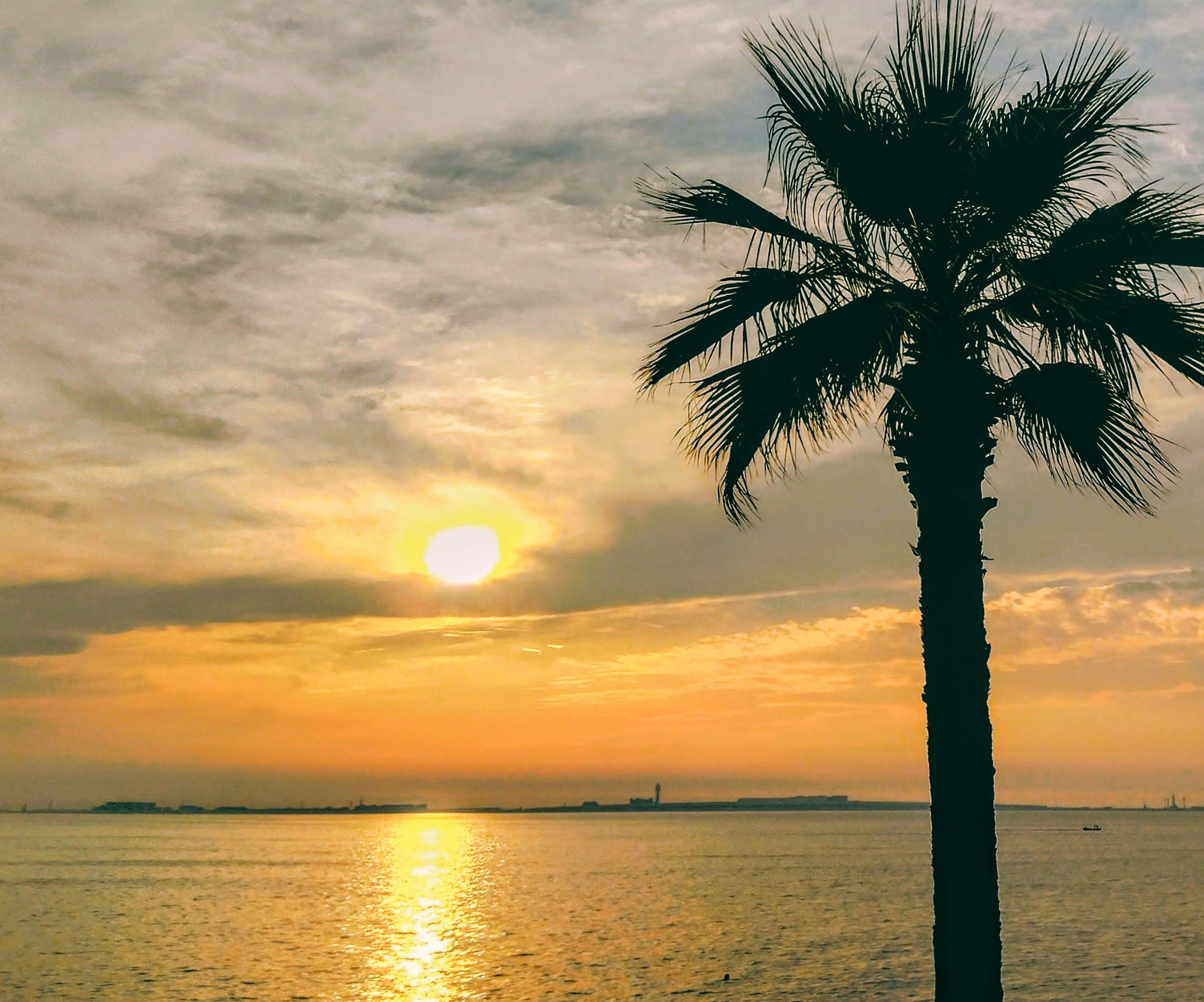 Sonnenuntergang über dem Meer mit Silhouette einer Palme