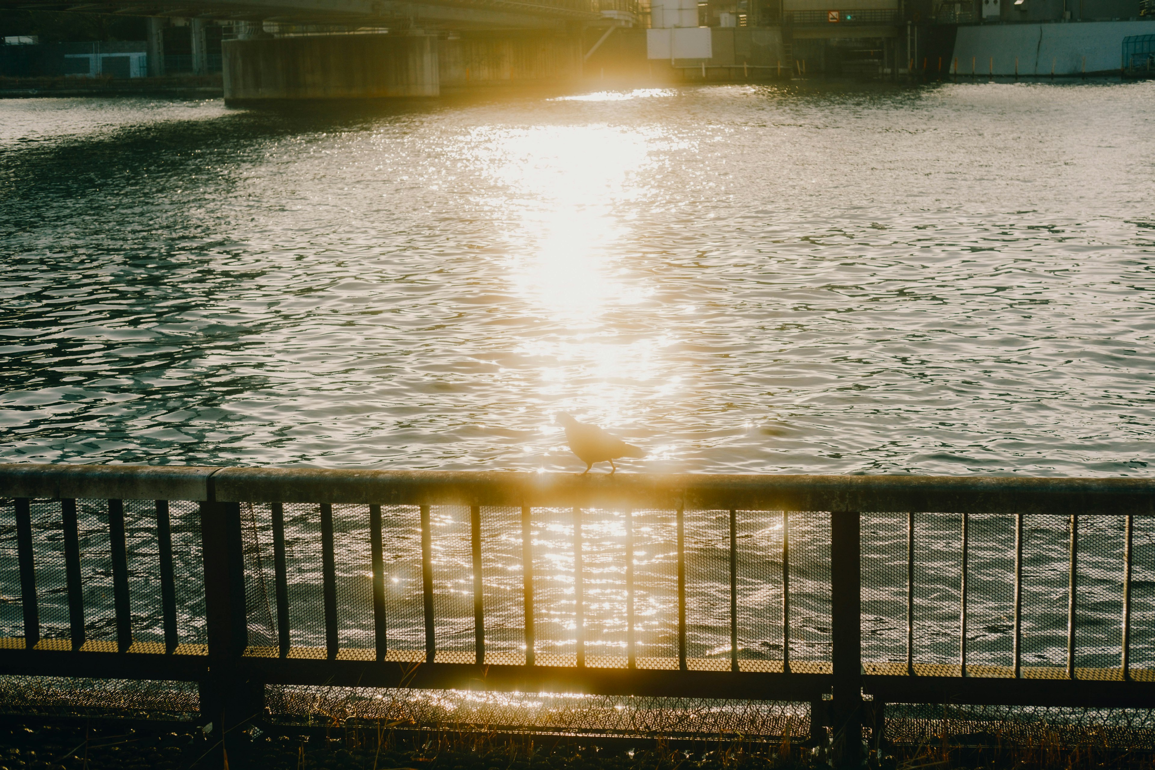 Scenic view of sunlight reflecting on water with a railing