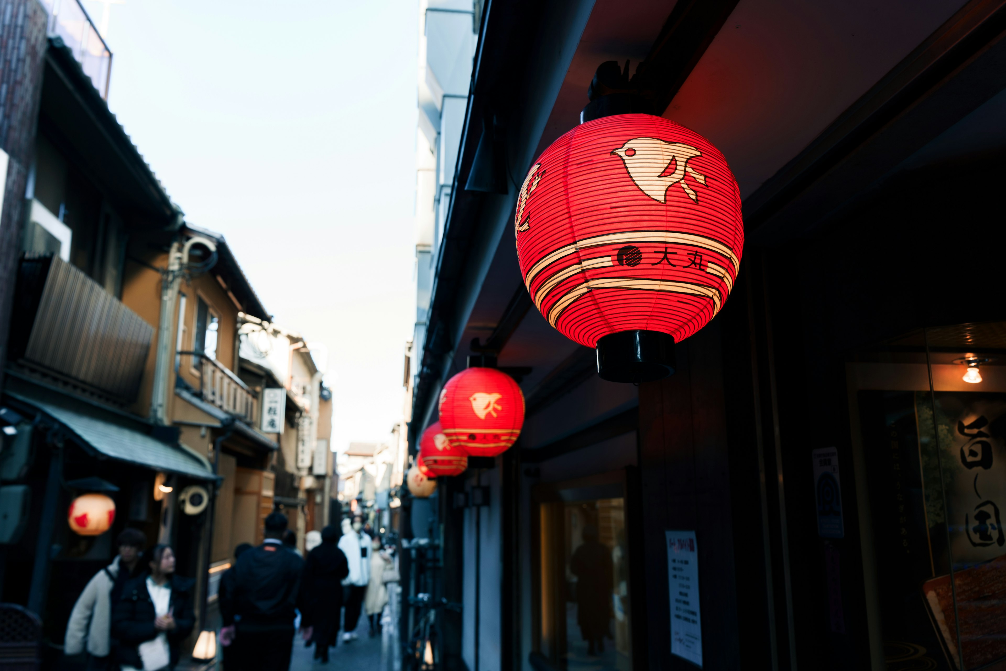 Street view featuring red lanterns in a traditional setting