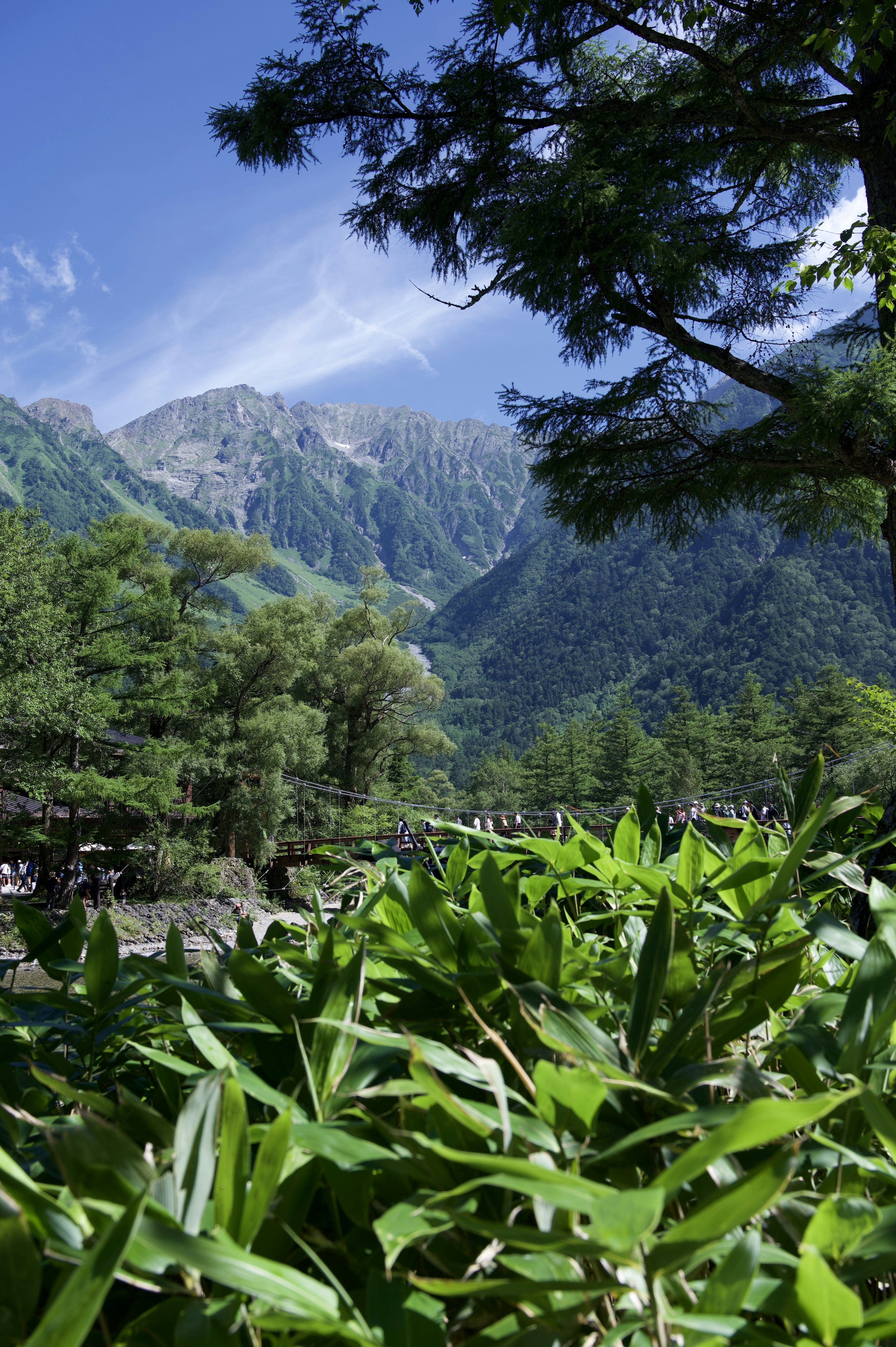 青い空と緑の植物に囲まれた山の風景