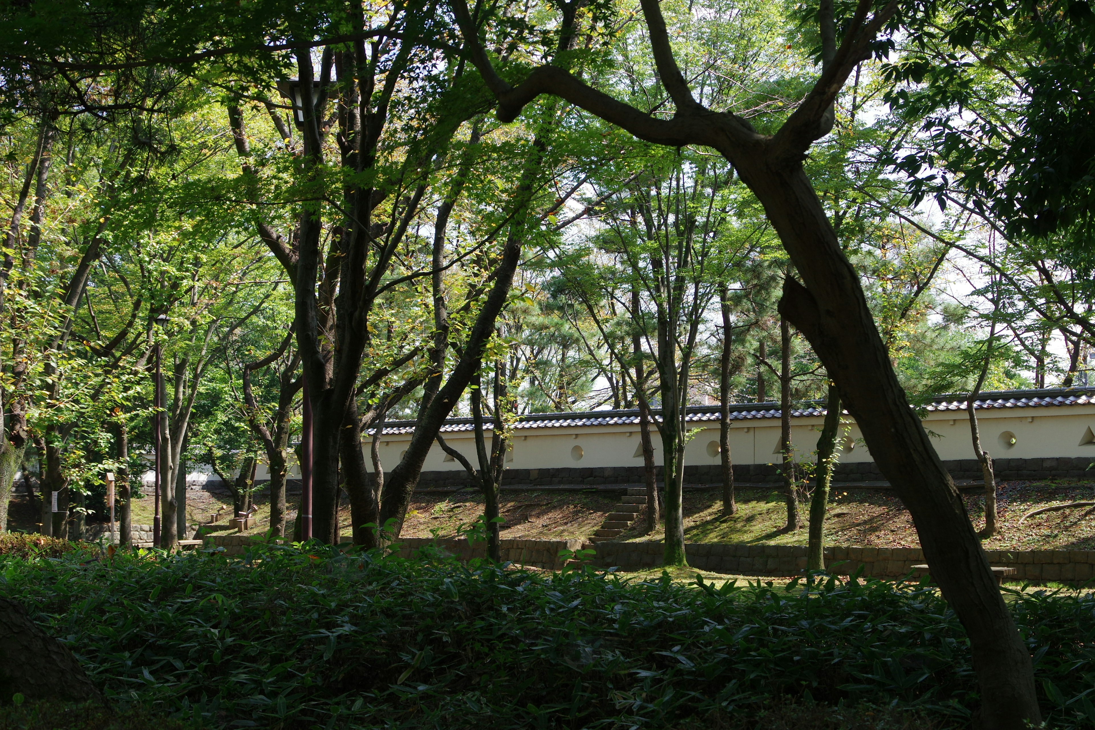 Pemandangan taman tenang dikelilingi pohon hijau