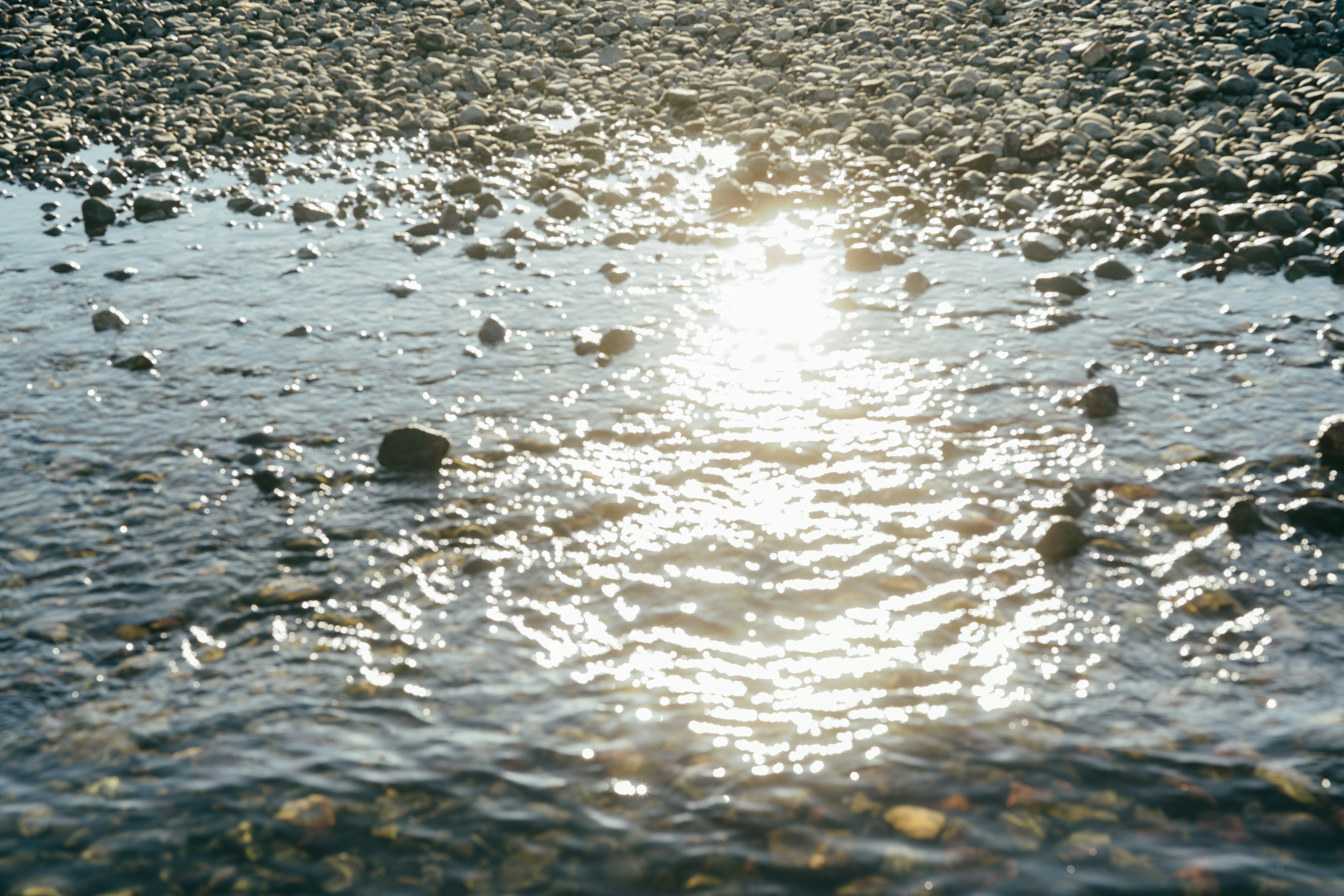 水面に反射する太陽の光と小石が見える風景