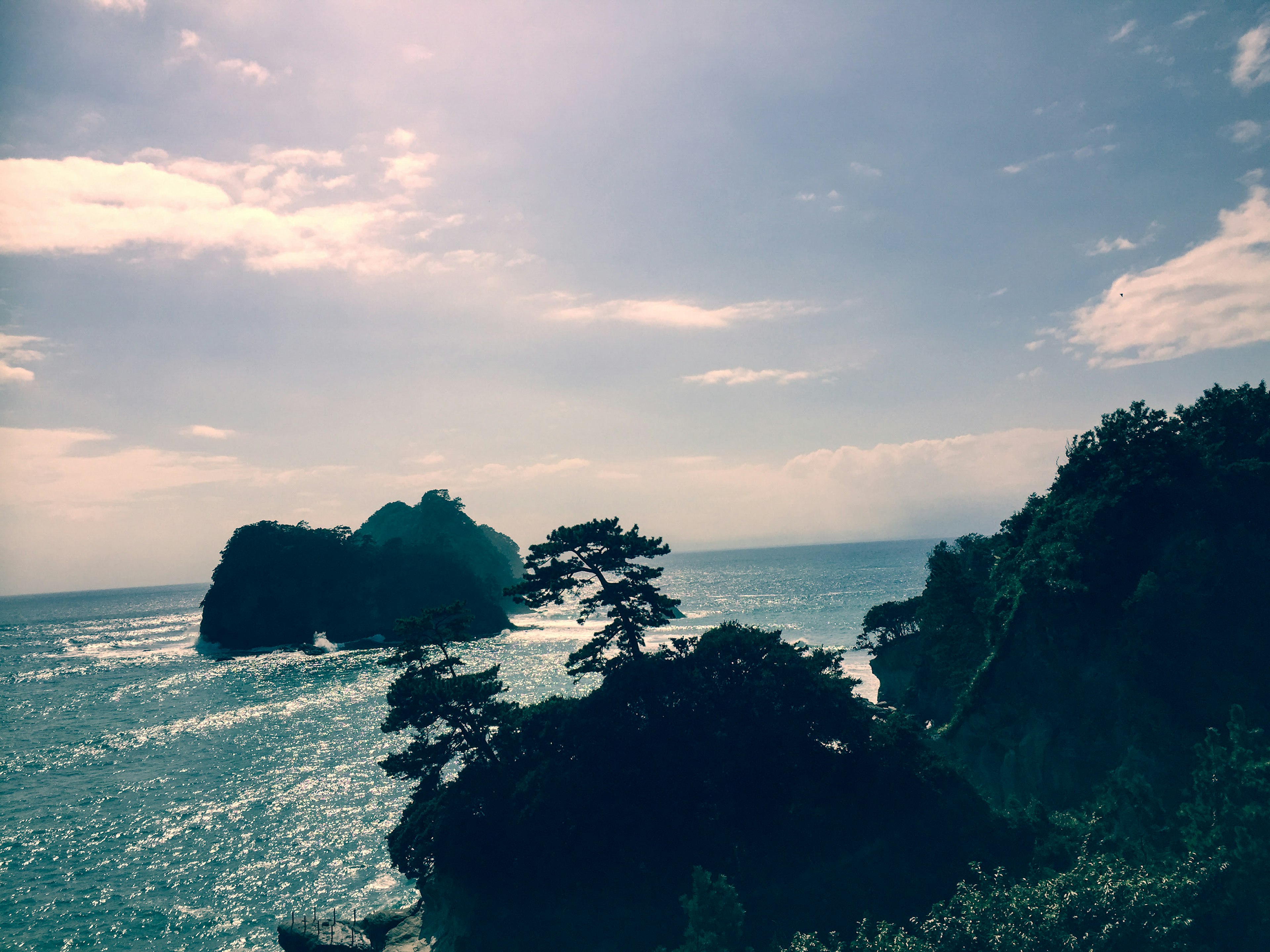 青い海と岩の景色に立つ木々のシルエット