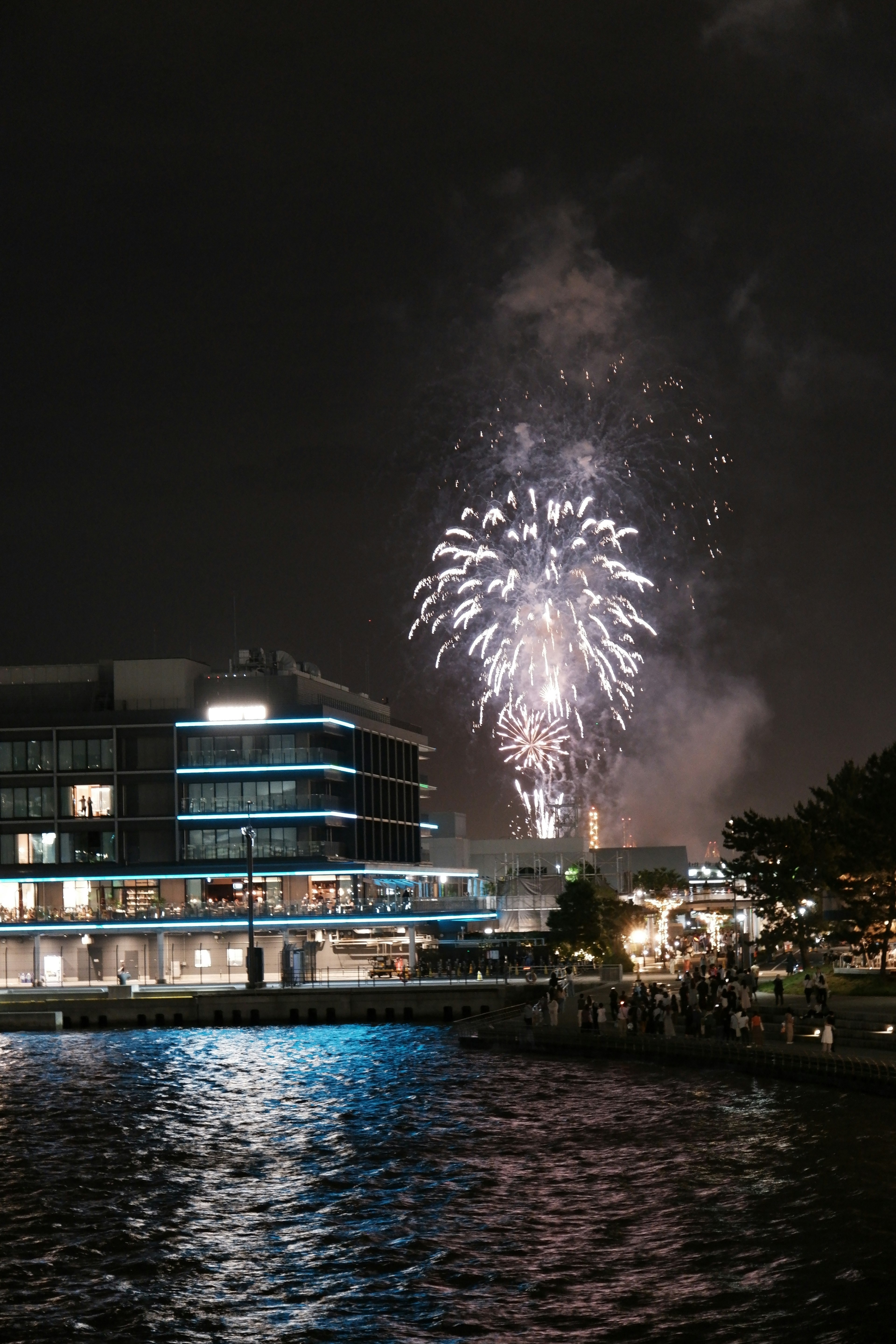 夜空に打ち上げられた花火と水面に映る光の反射が美しい風景