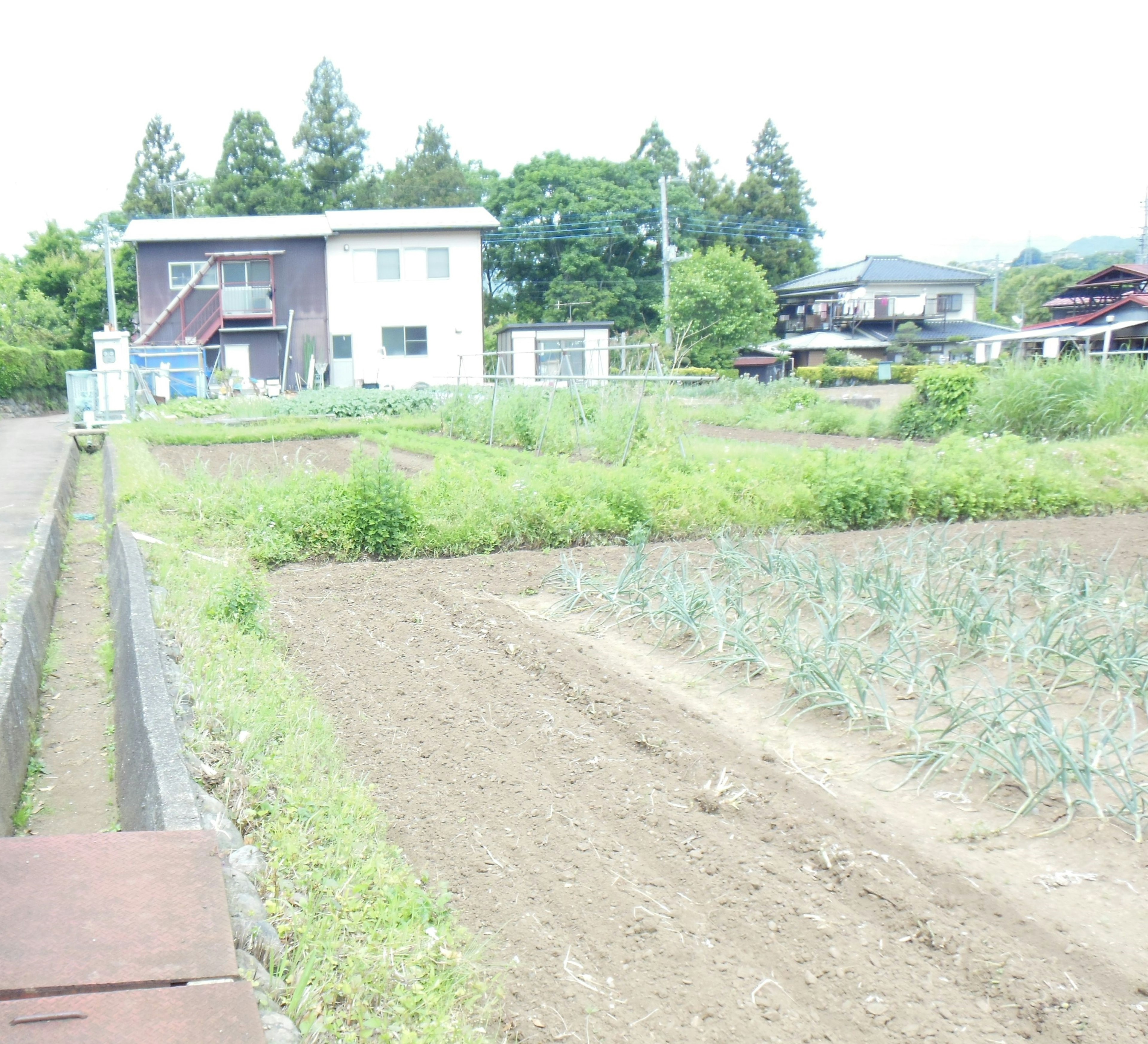 乡村风景，包含田地和房屋