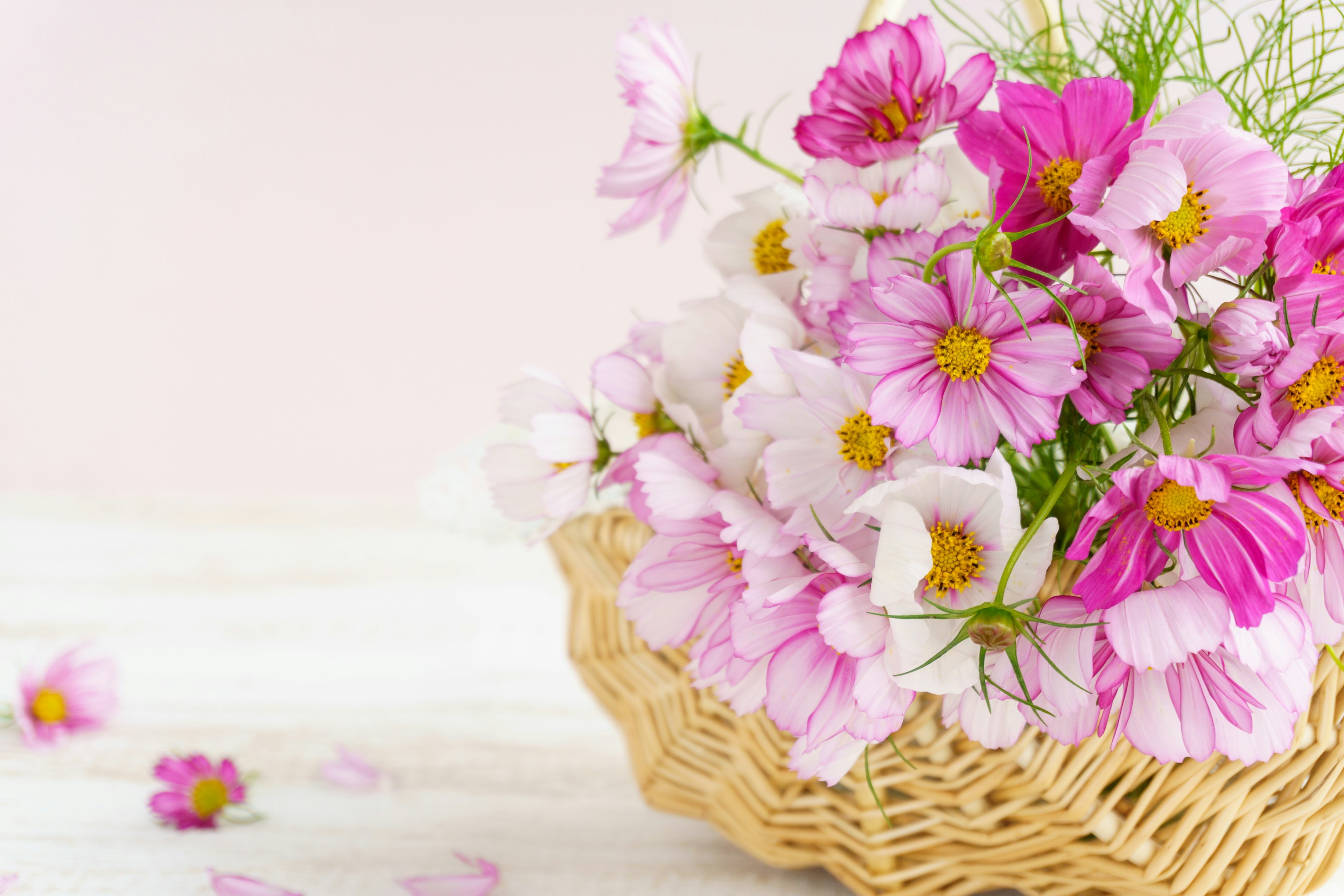 Anordnung von rosa und weißen Blumen in einem Korb