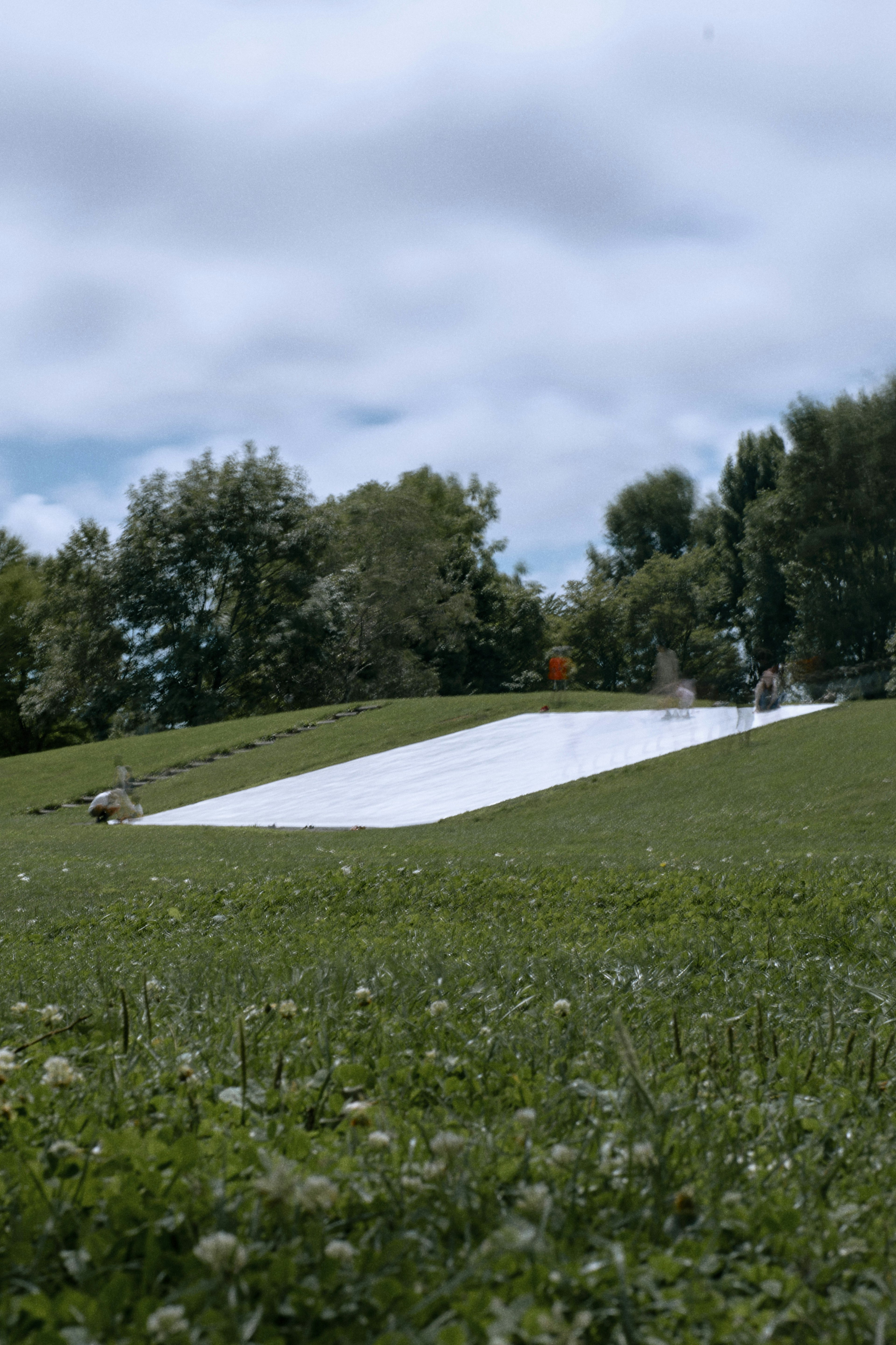 Imagen de un campo verde con una lona blanca extendida