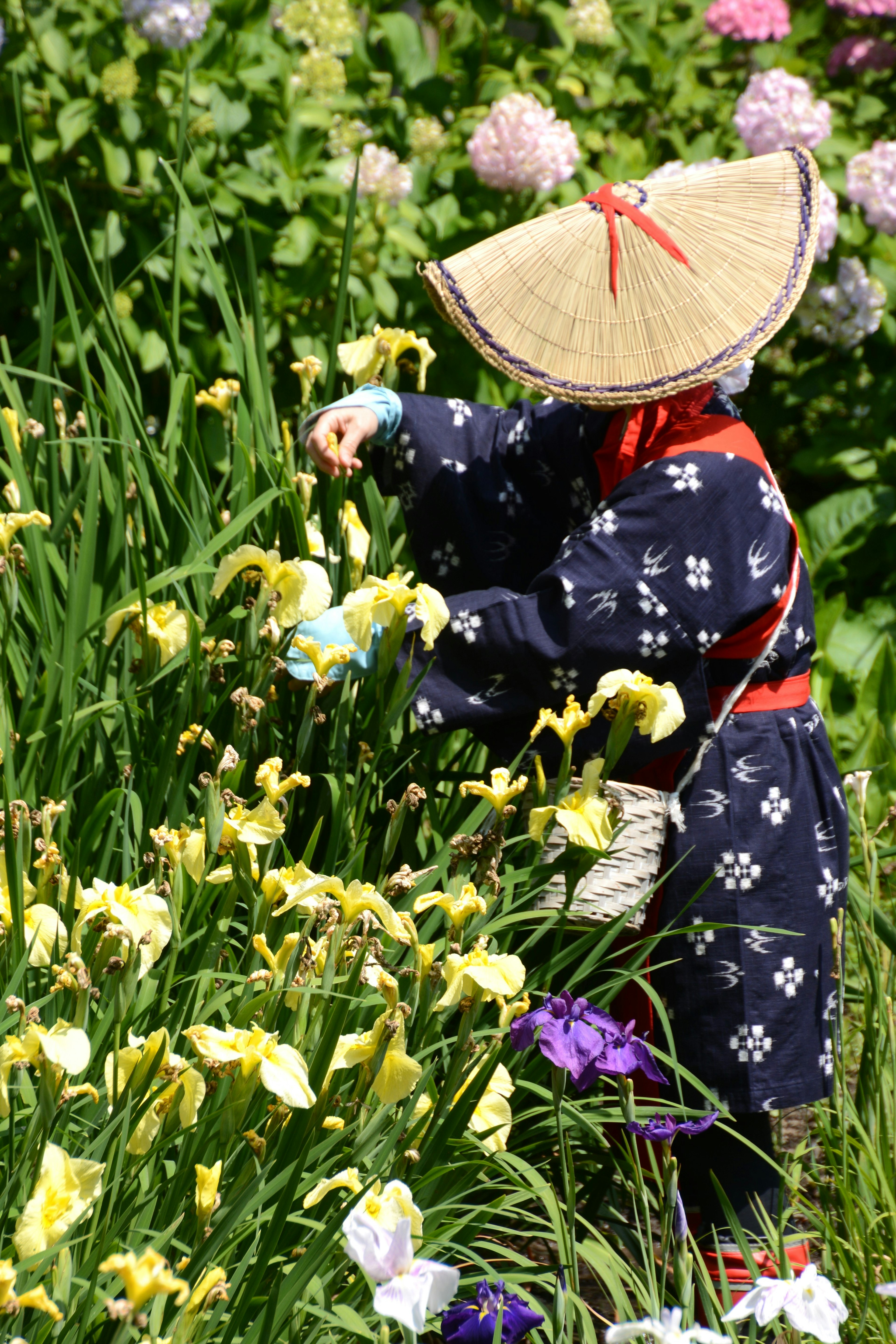 Mujer en vestimenta tradicional recogiendo flores en un jardín vibrante