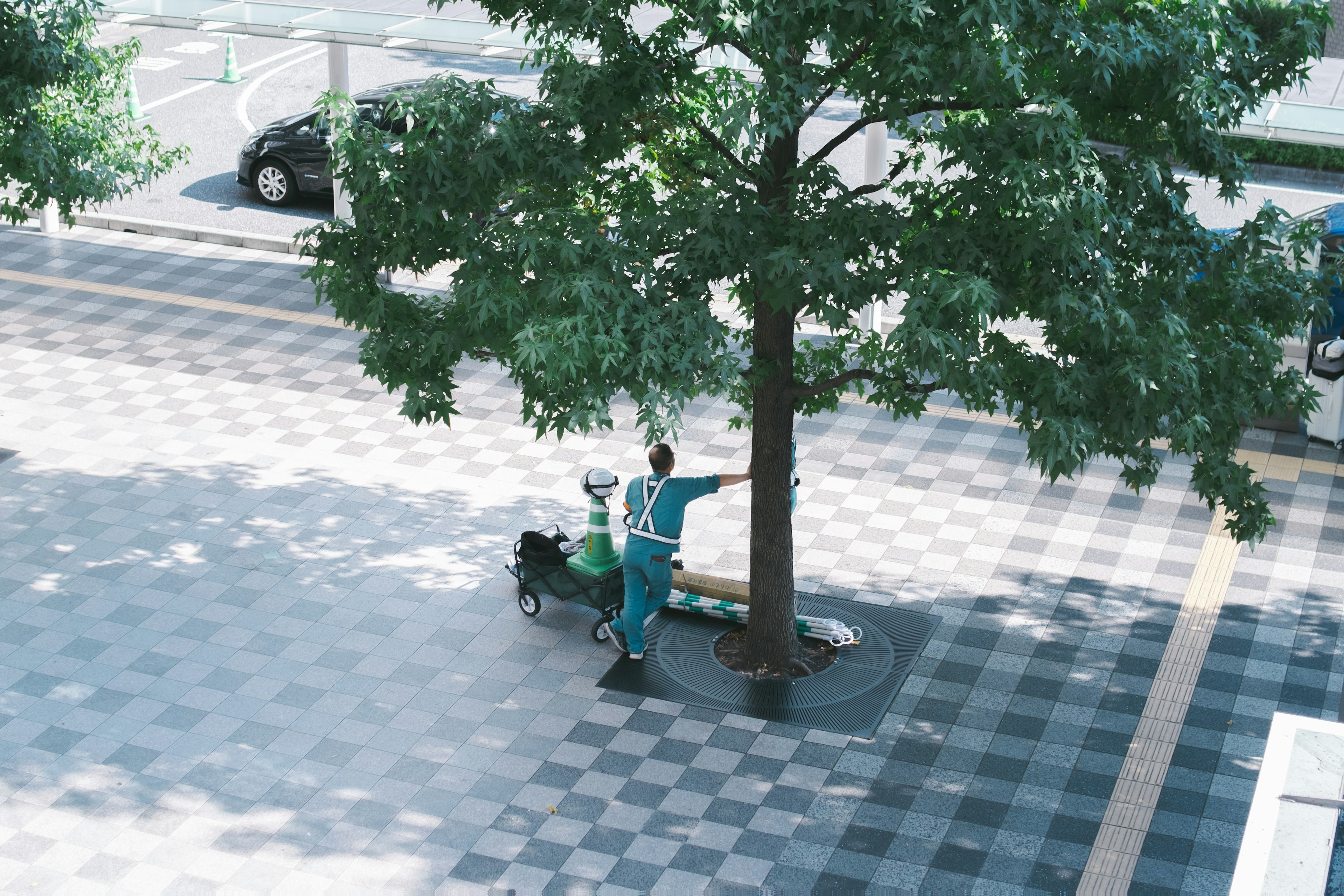 公園の木の下で作業する人とベンチ