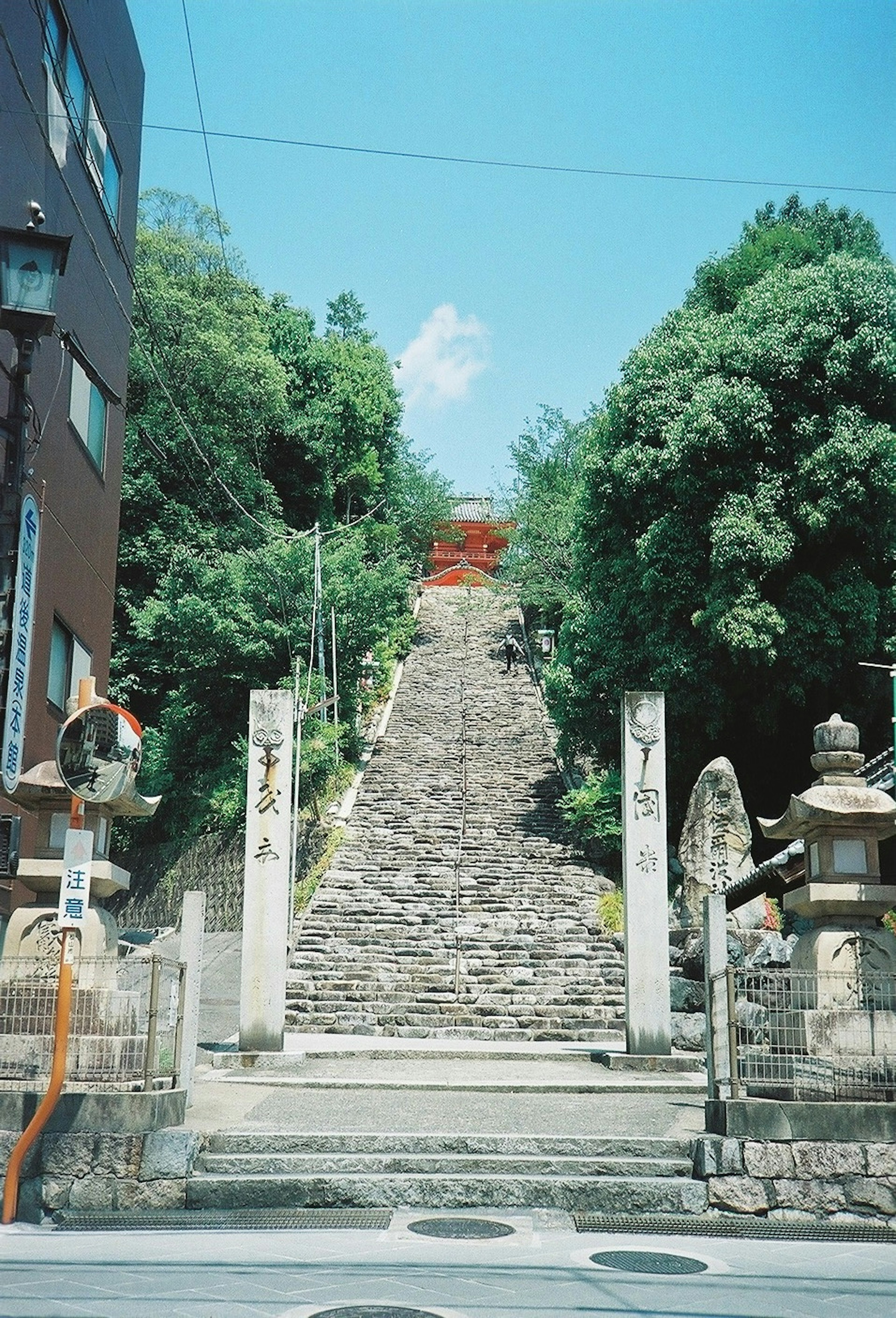 通往神社的石階，四周環繞著郁郁蔥蔥的綠樹