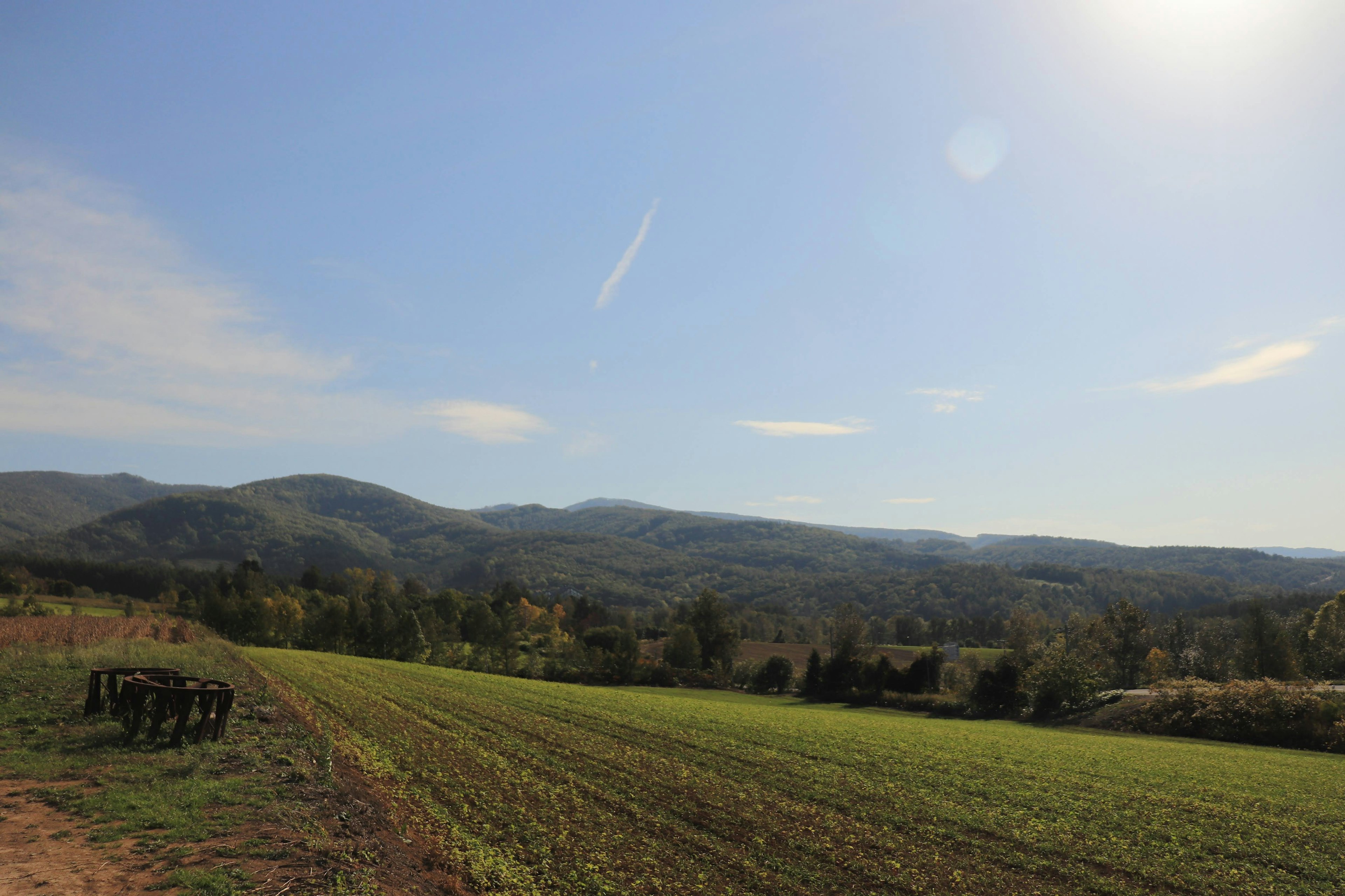 Lush green field with distant mountains under a bright blue sky