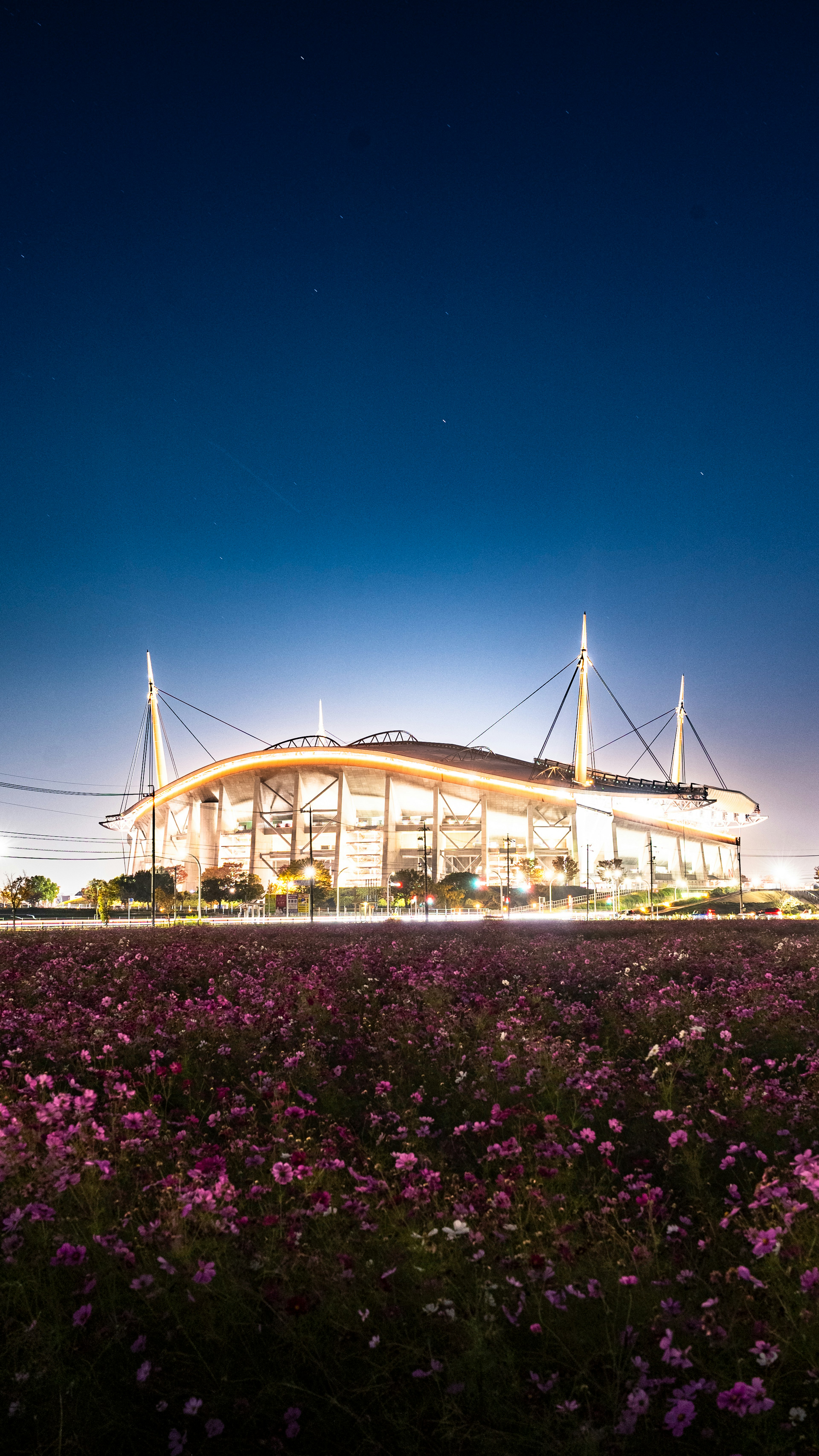 夜空中美麗的建築和前景中的五彩花朵