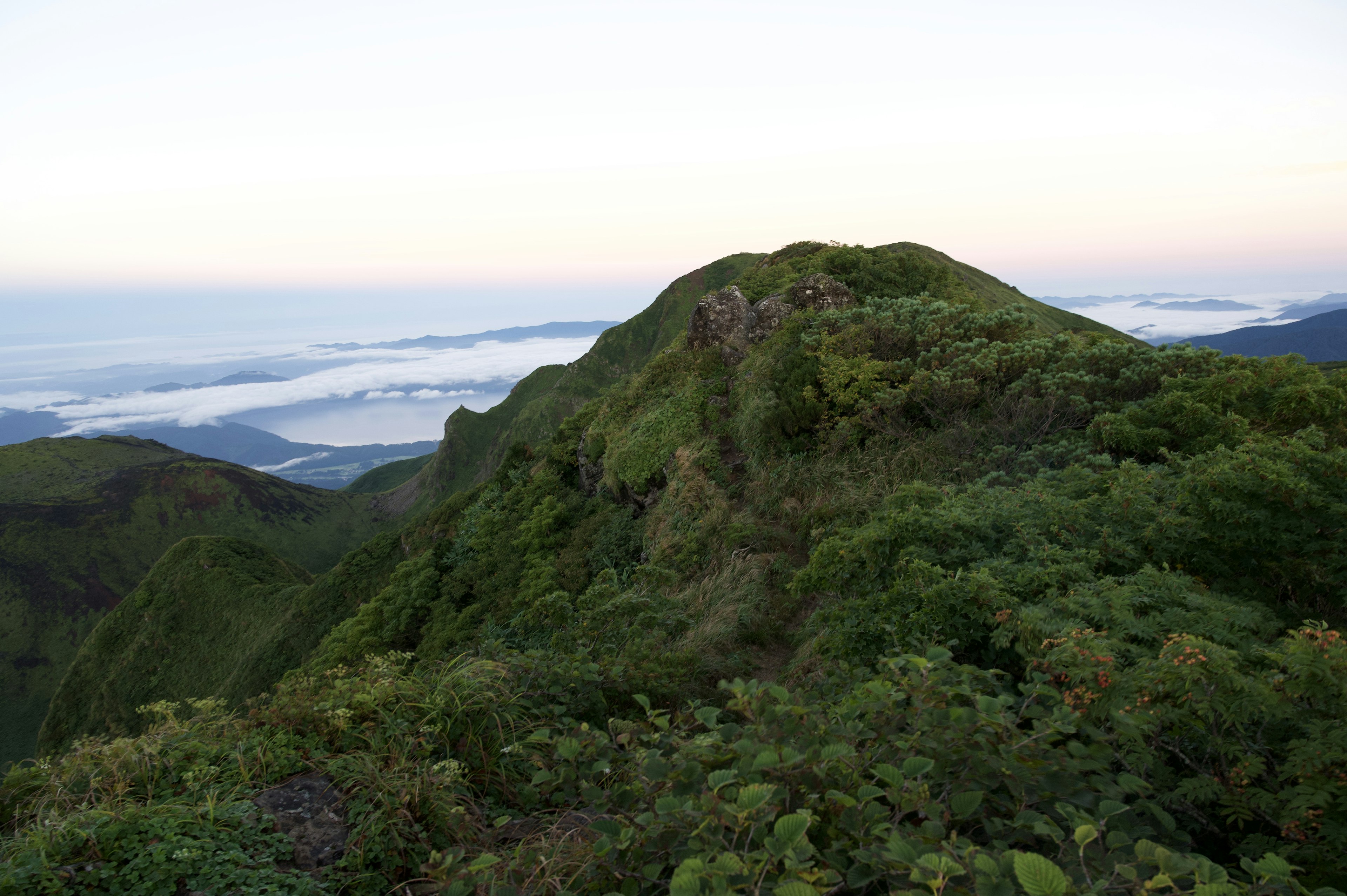 Paisaje de colina verde con un mar de nubes de fondo