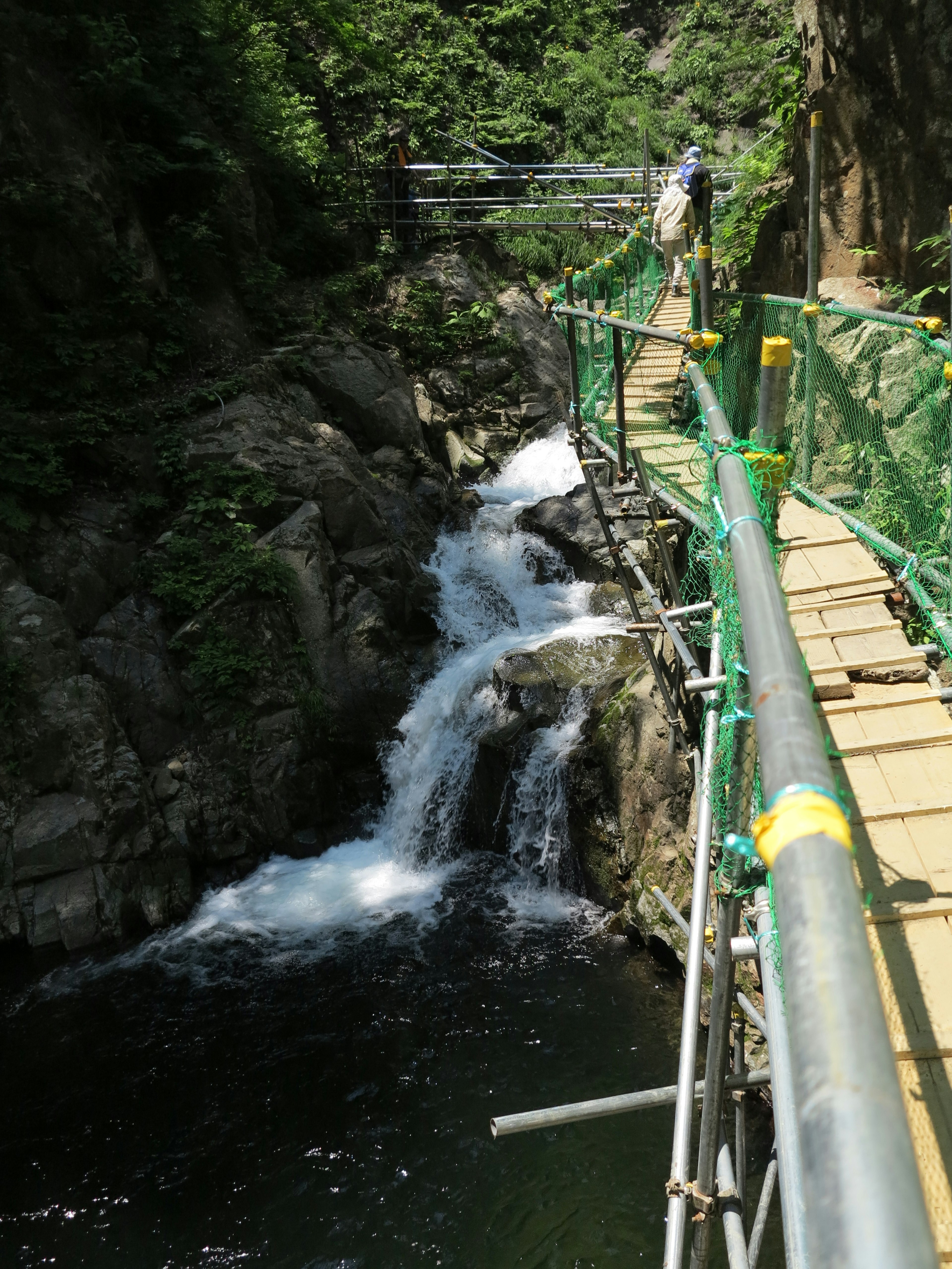 Un sentiero panoramico vicino a un fiume con una cascata circondata da vegetazione