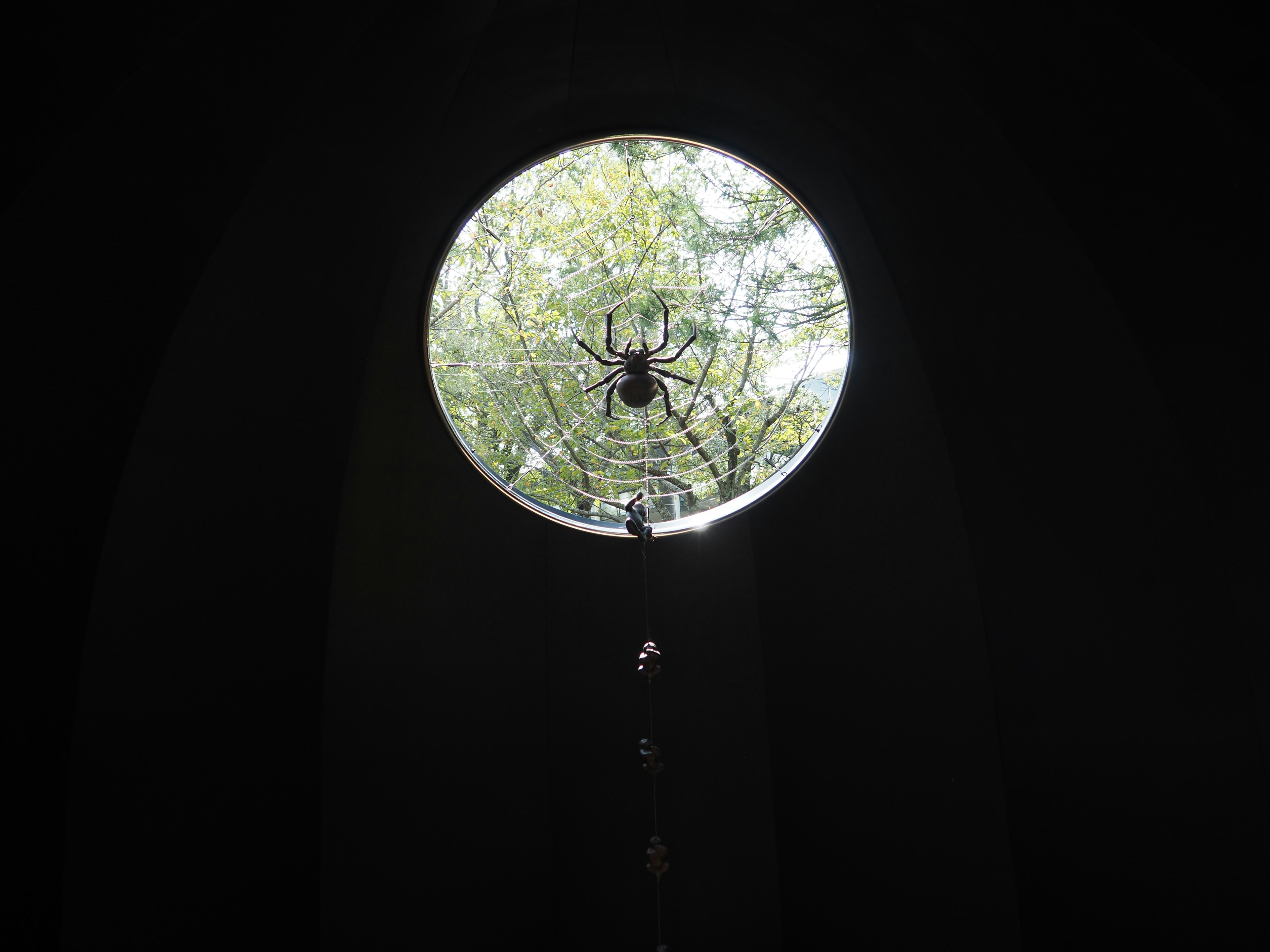 Circular window revealing a spider web and green leaves in a dark space