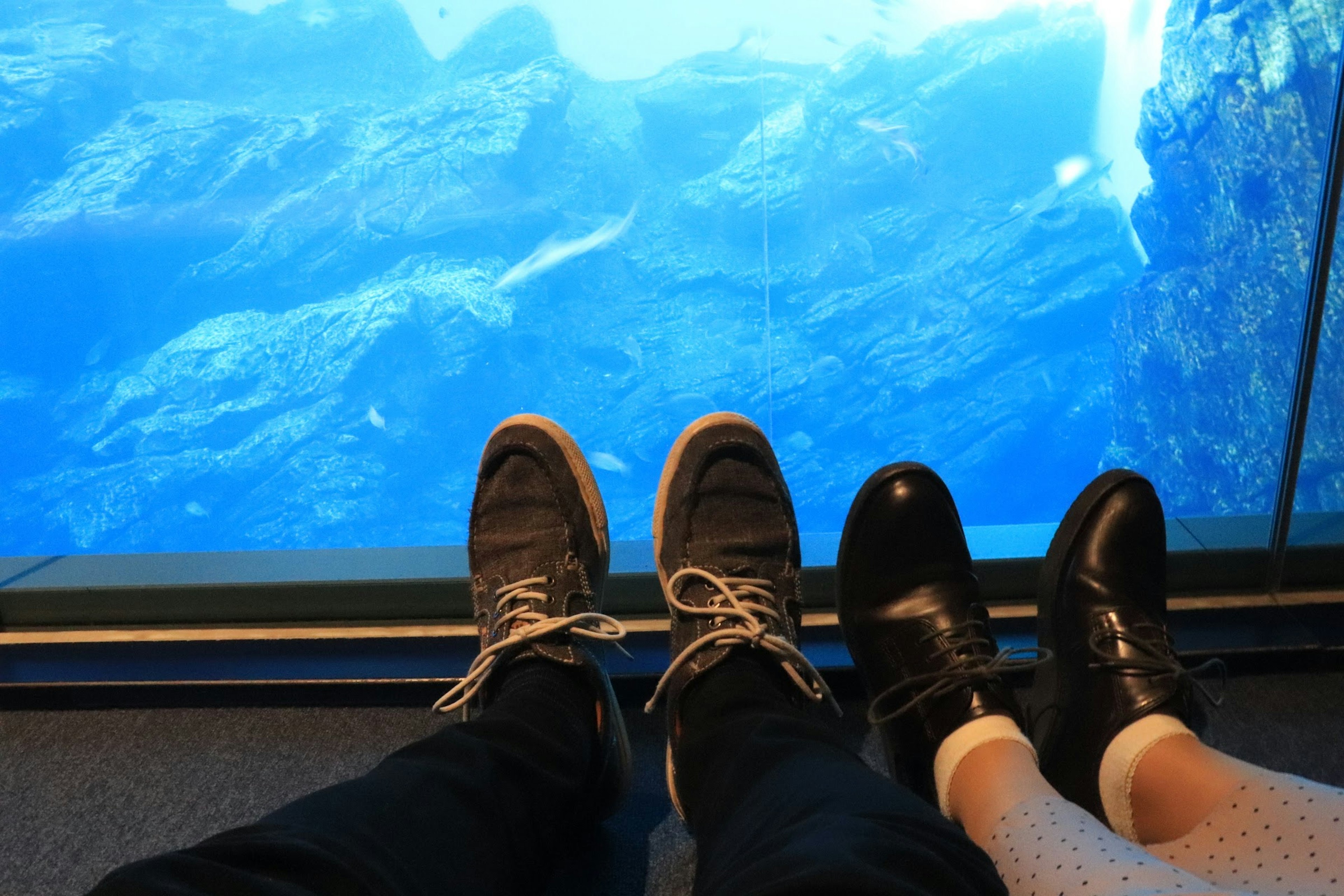 Deux paires de chaussures devant un aquarium bleu