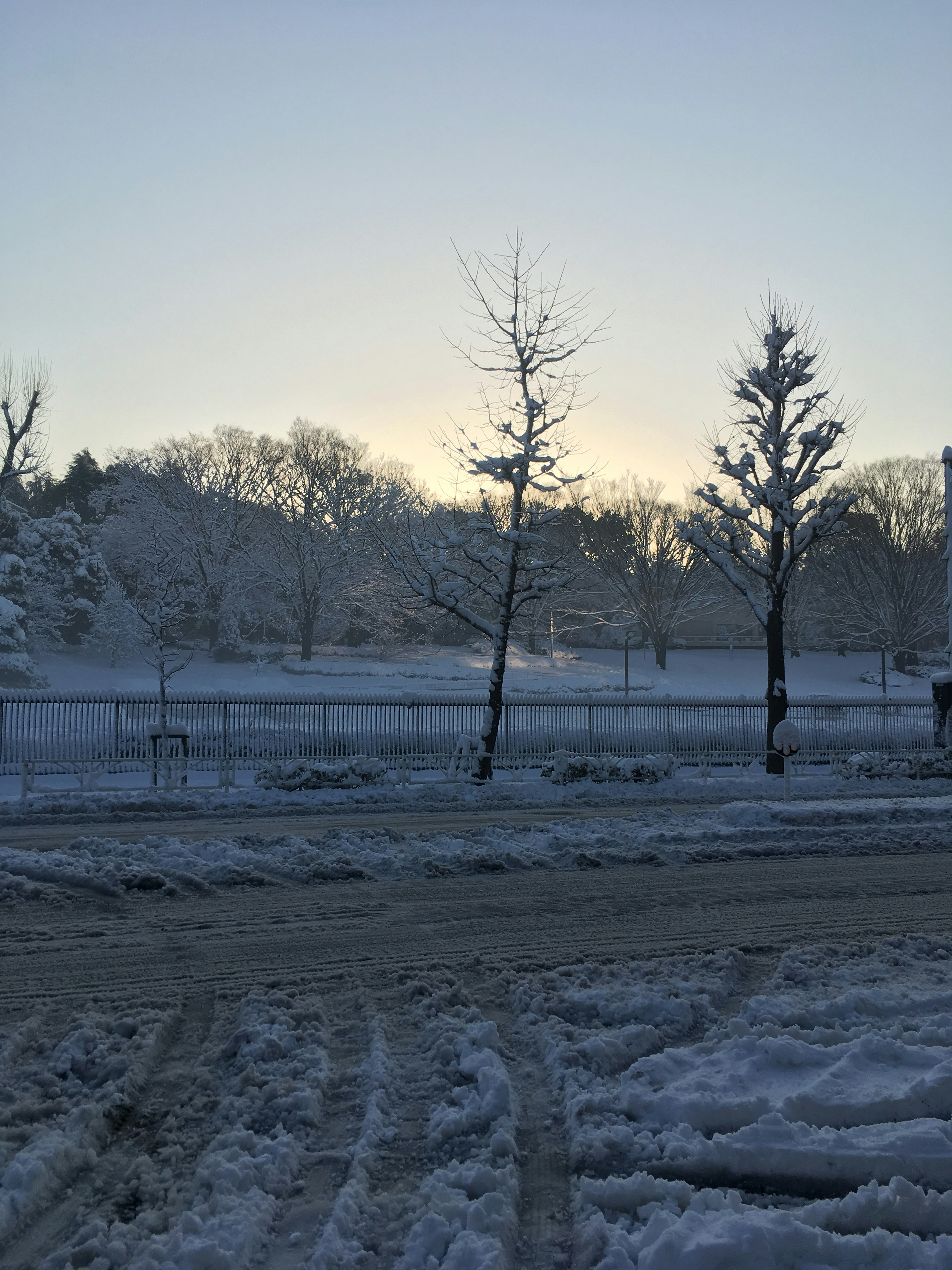 Verschneite Landschaft mit silhouettenartigen Bäumen