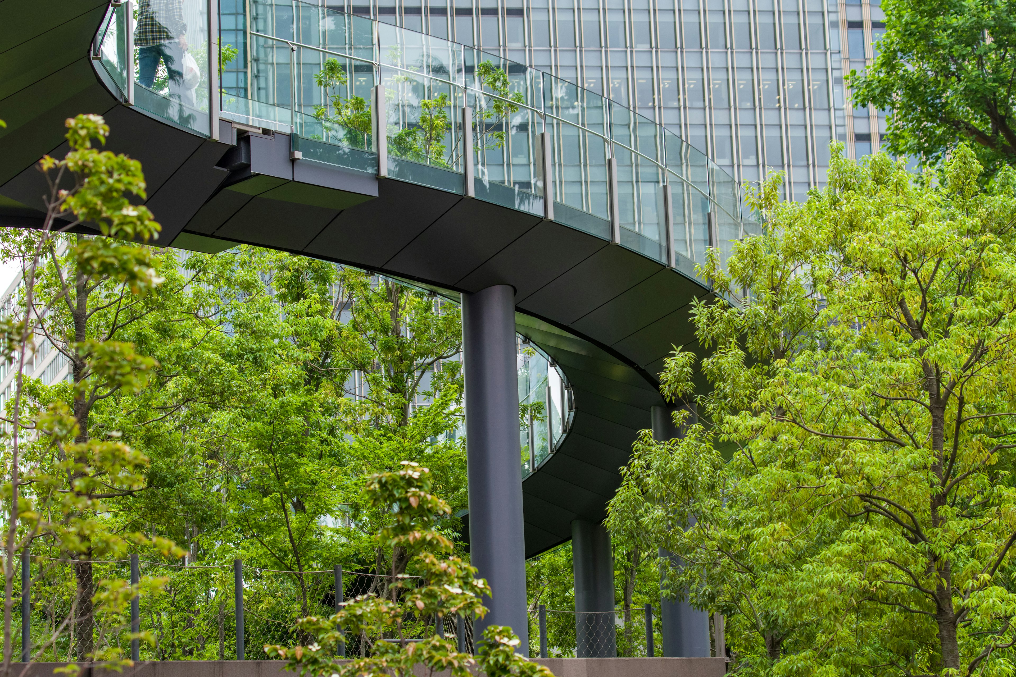 Modern building with glass structure surrounded by lush green trees