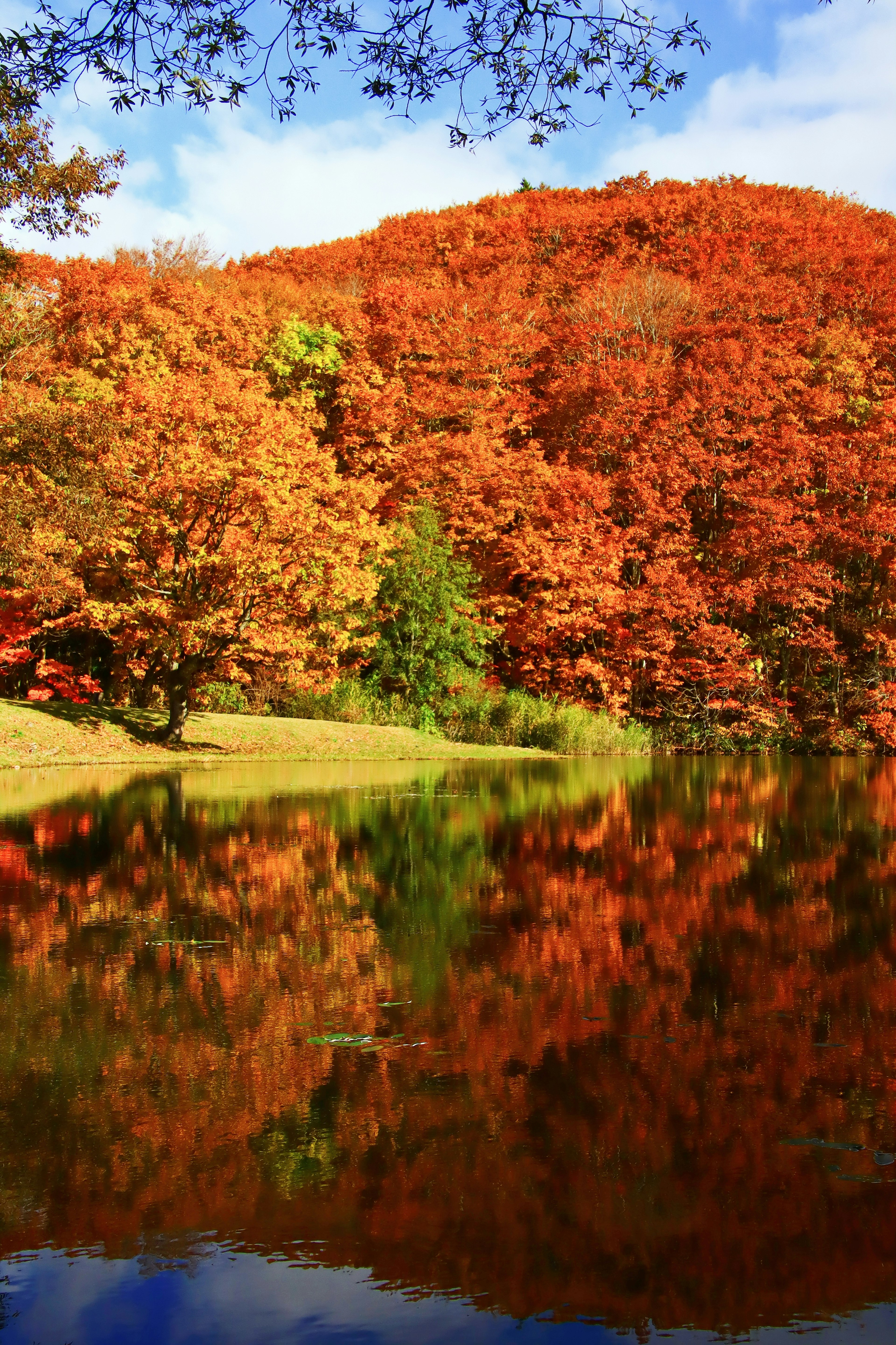 Danau tenang yang memantulkan pohon-pohon dengan warna musim gugur