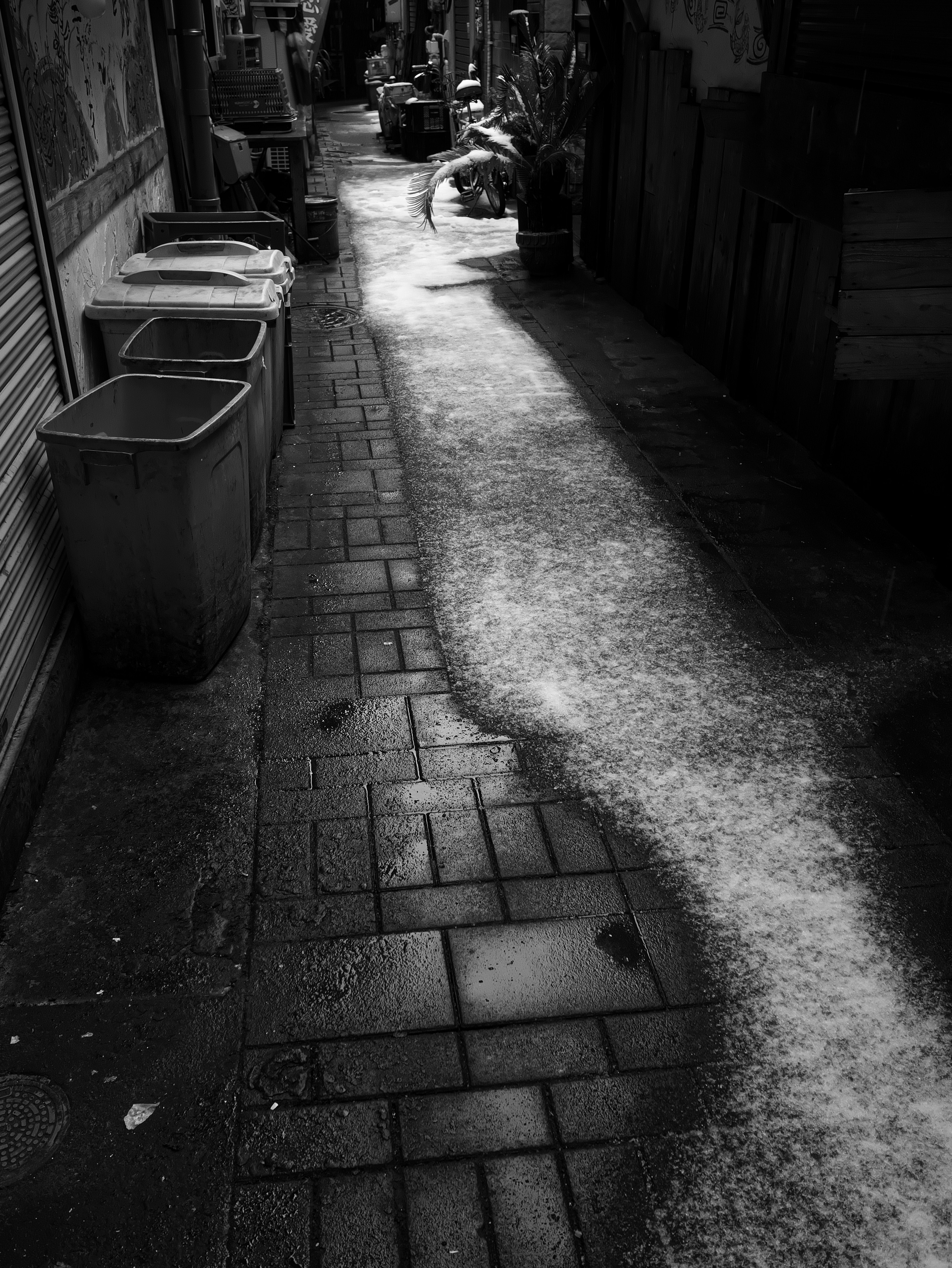 Narrow alley in black and white with trash bins and cobblestone path shadows