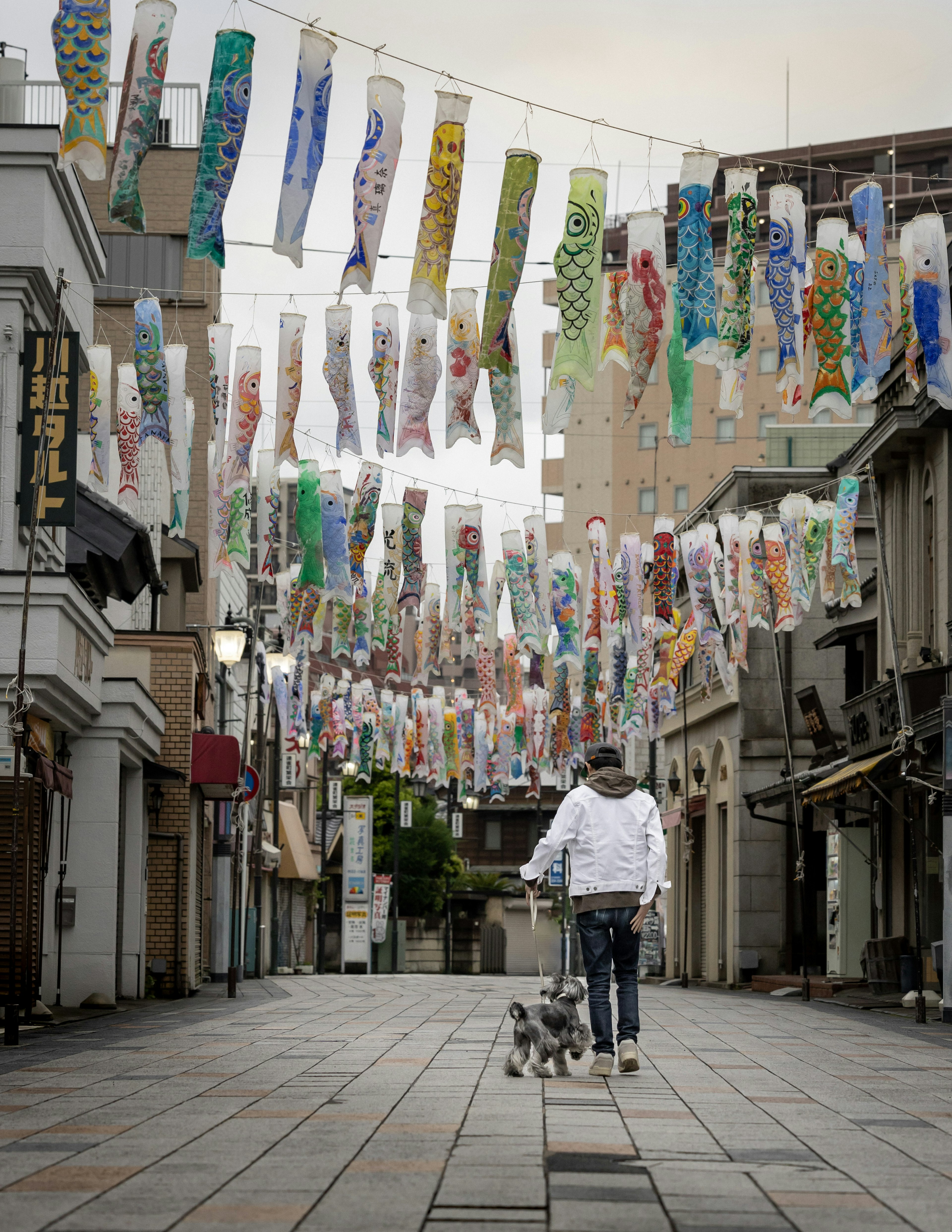 A person walking a dog on a street with colorful decorations hanging above