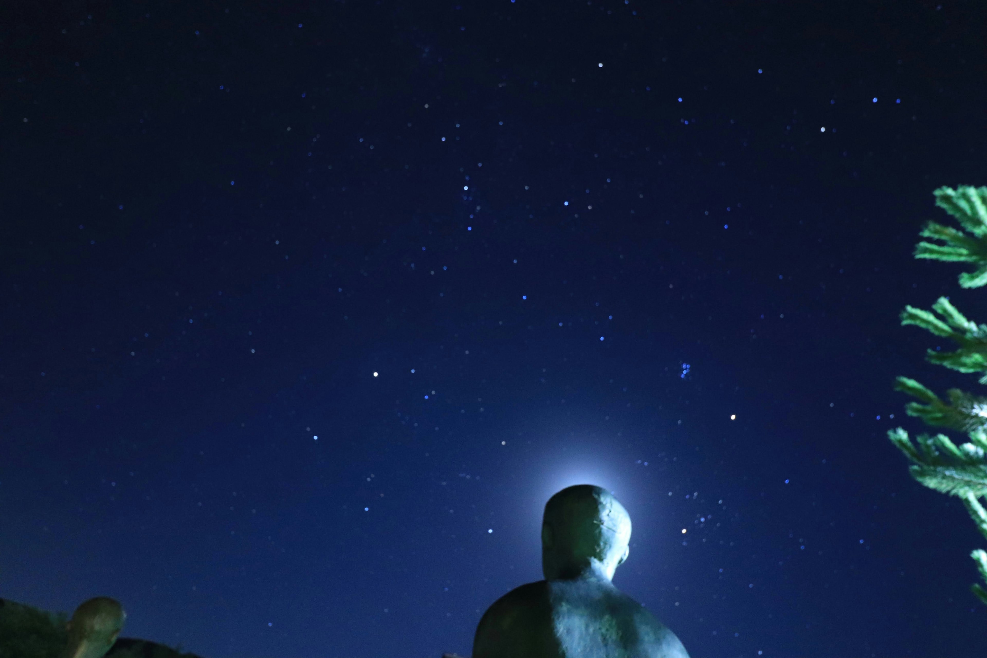 Silhouette di una persona sotto un cielo stellato con stelle brillanti