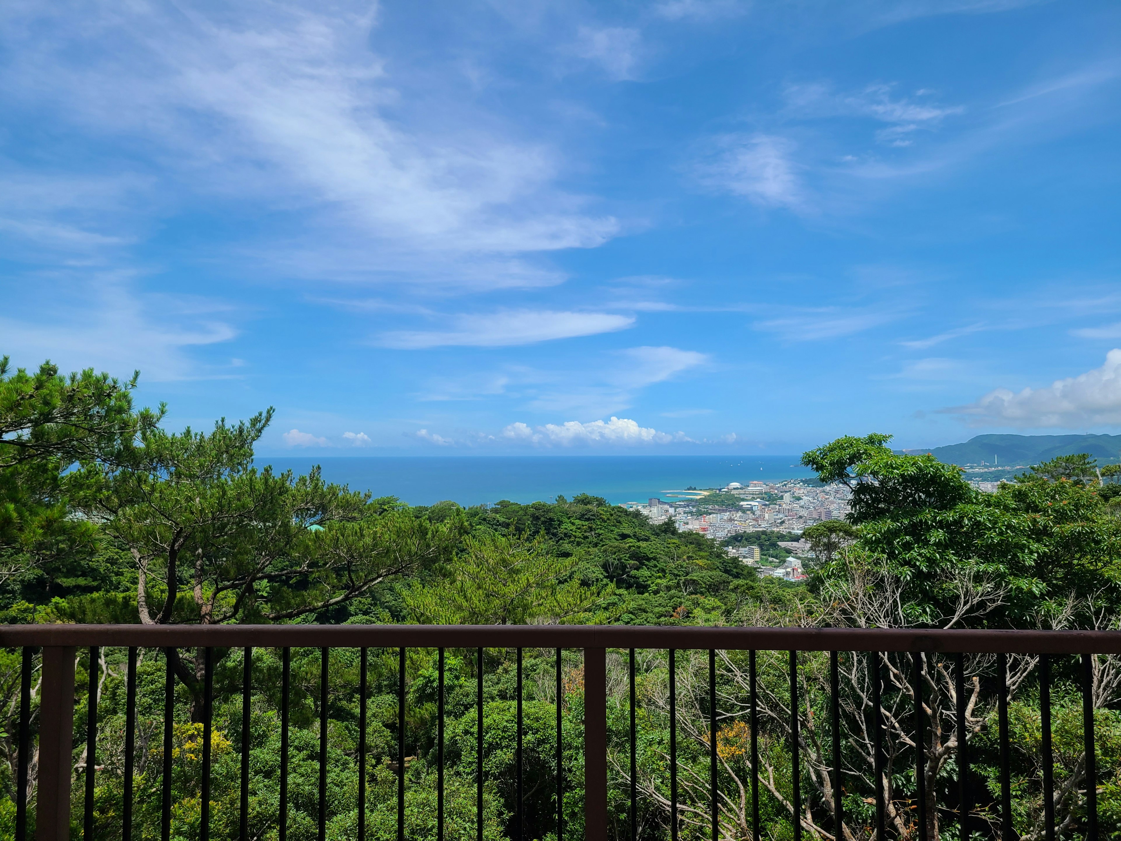 Pemandangan panorama dari vegetasi subur dengan langit biru dan lautan di latar belakang