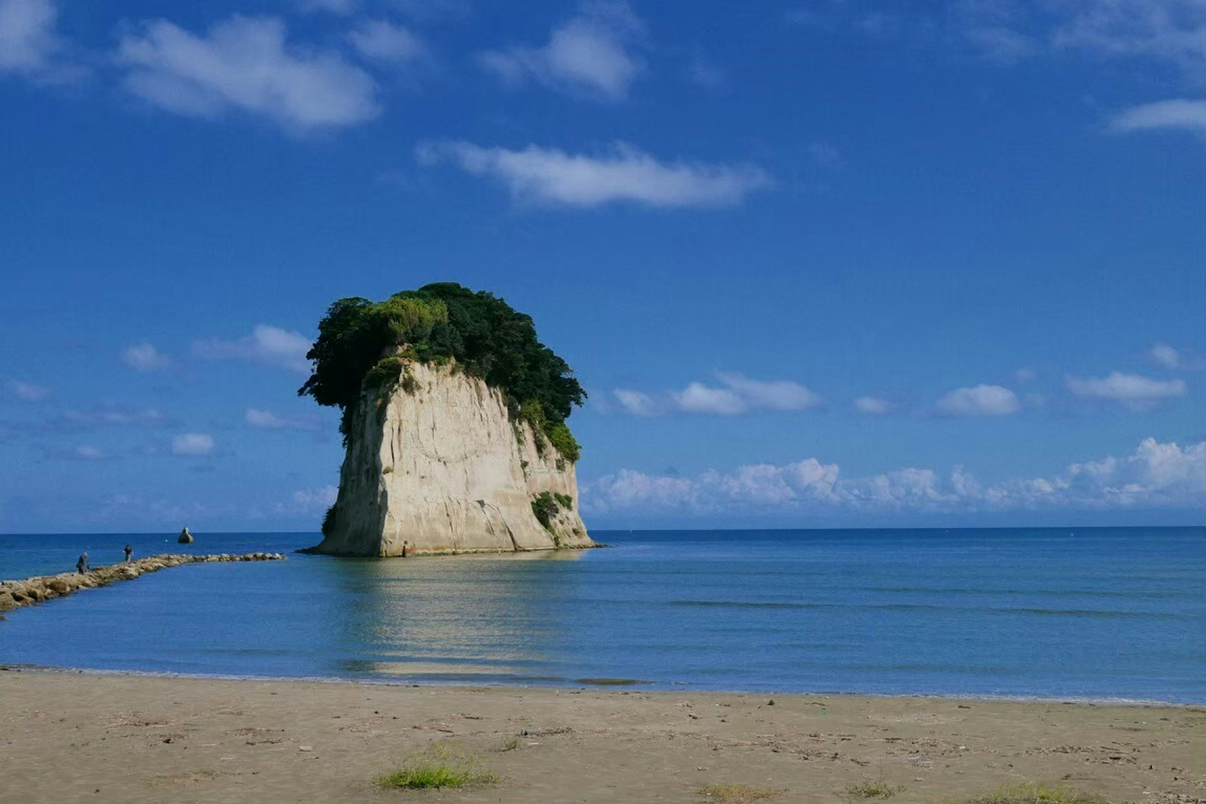 青い海と空に囲まれた緑の木々が生える白い岩