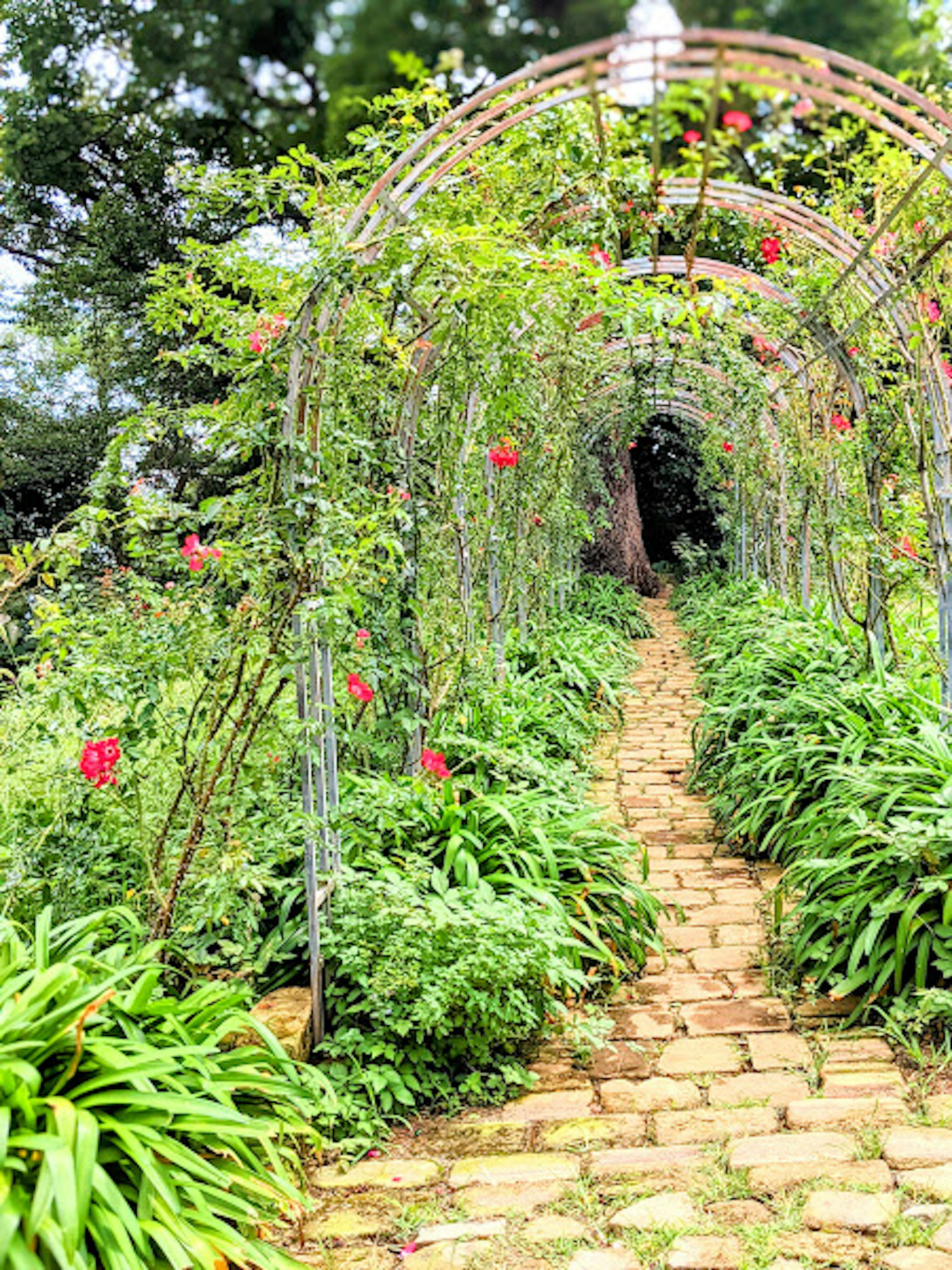 Schöner Garten mit einem blumenbedeckten Bogen und einem Steinweg