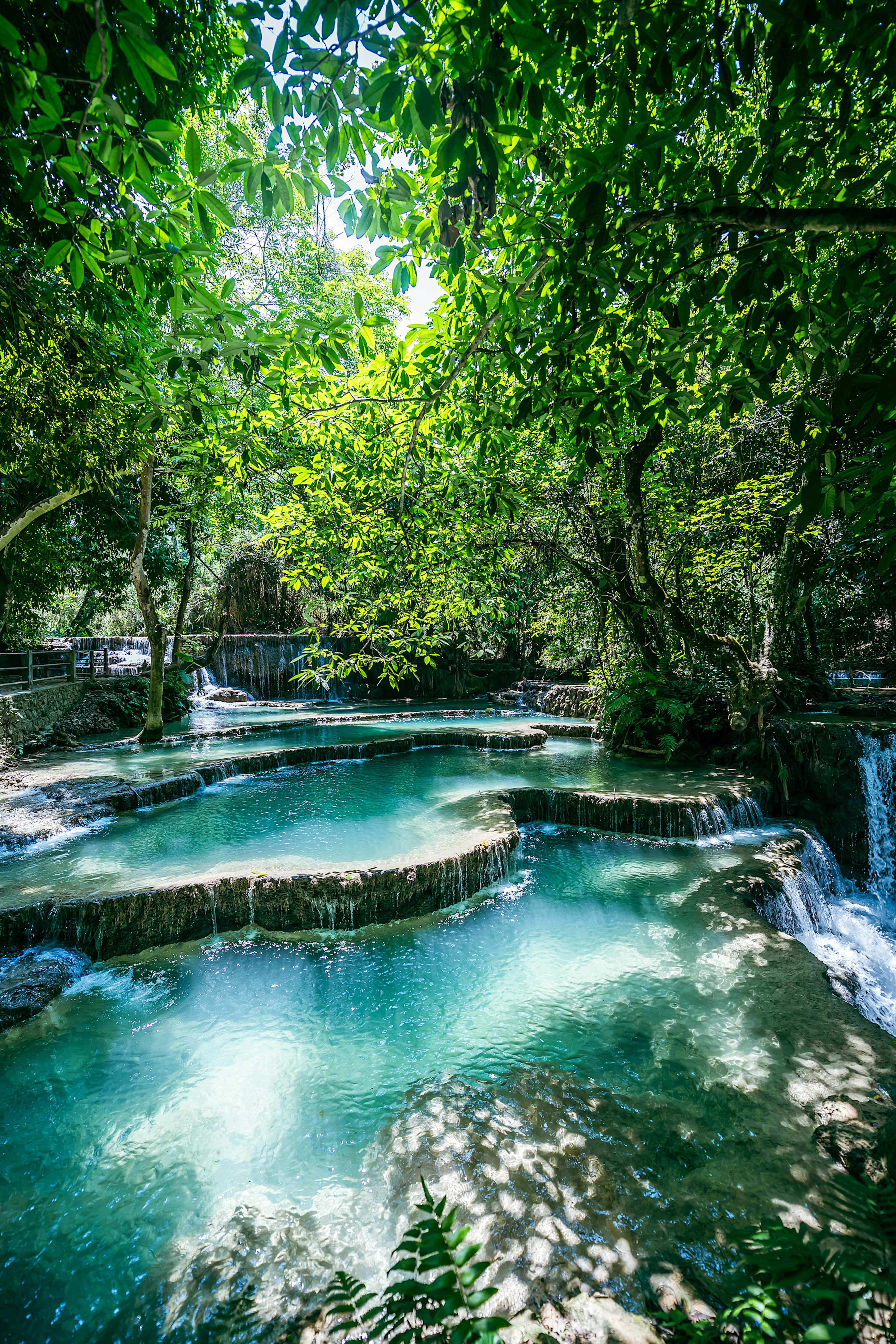 Air terjun yang indah mengalir ke kolam alami yang tenang dikelilingi oleh pepohonan hijau