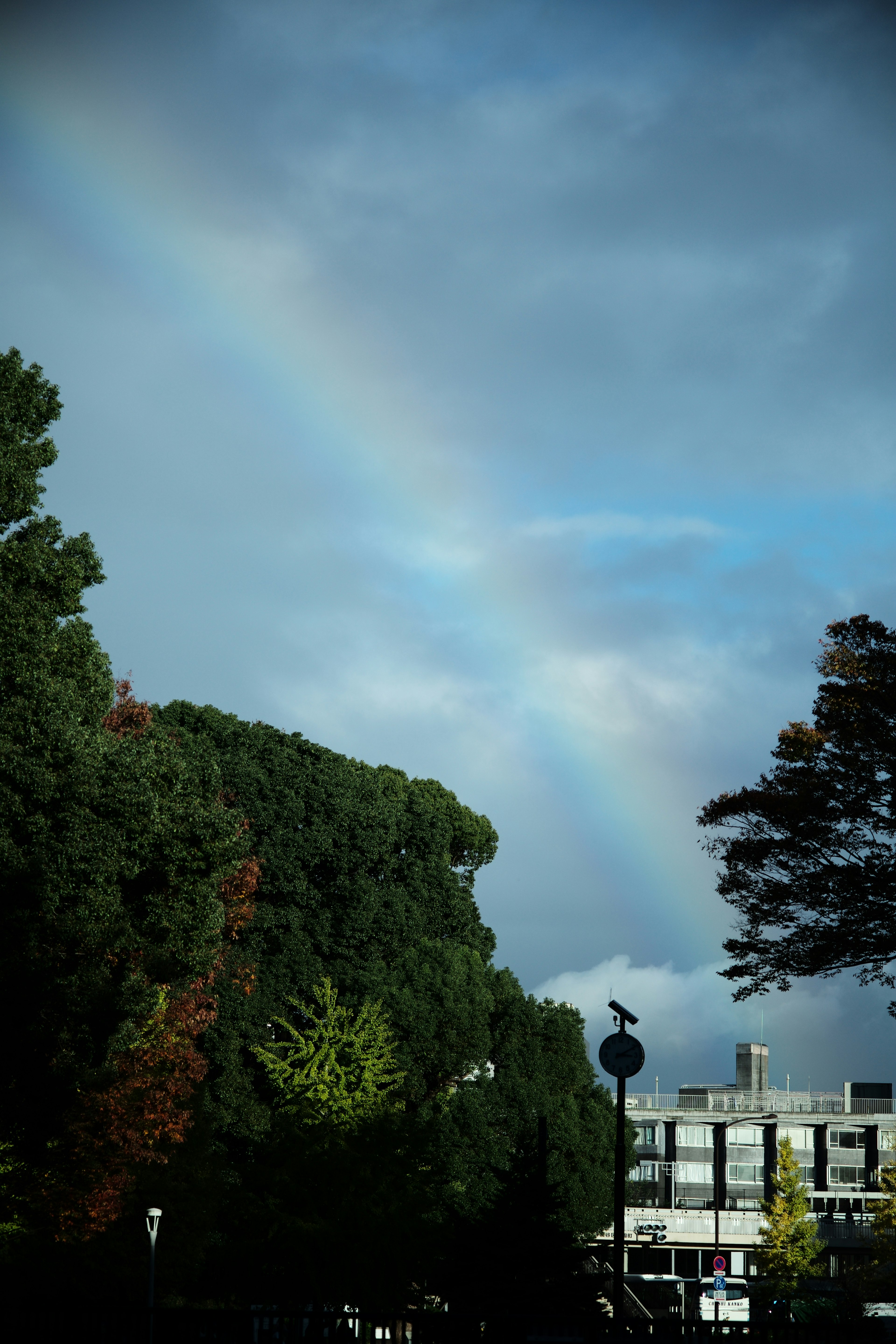 青空にかかる虹と緑豊かな木々の風景