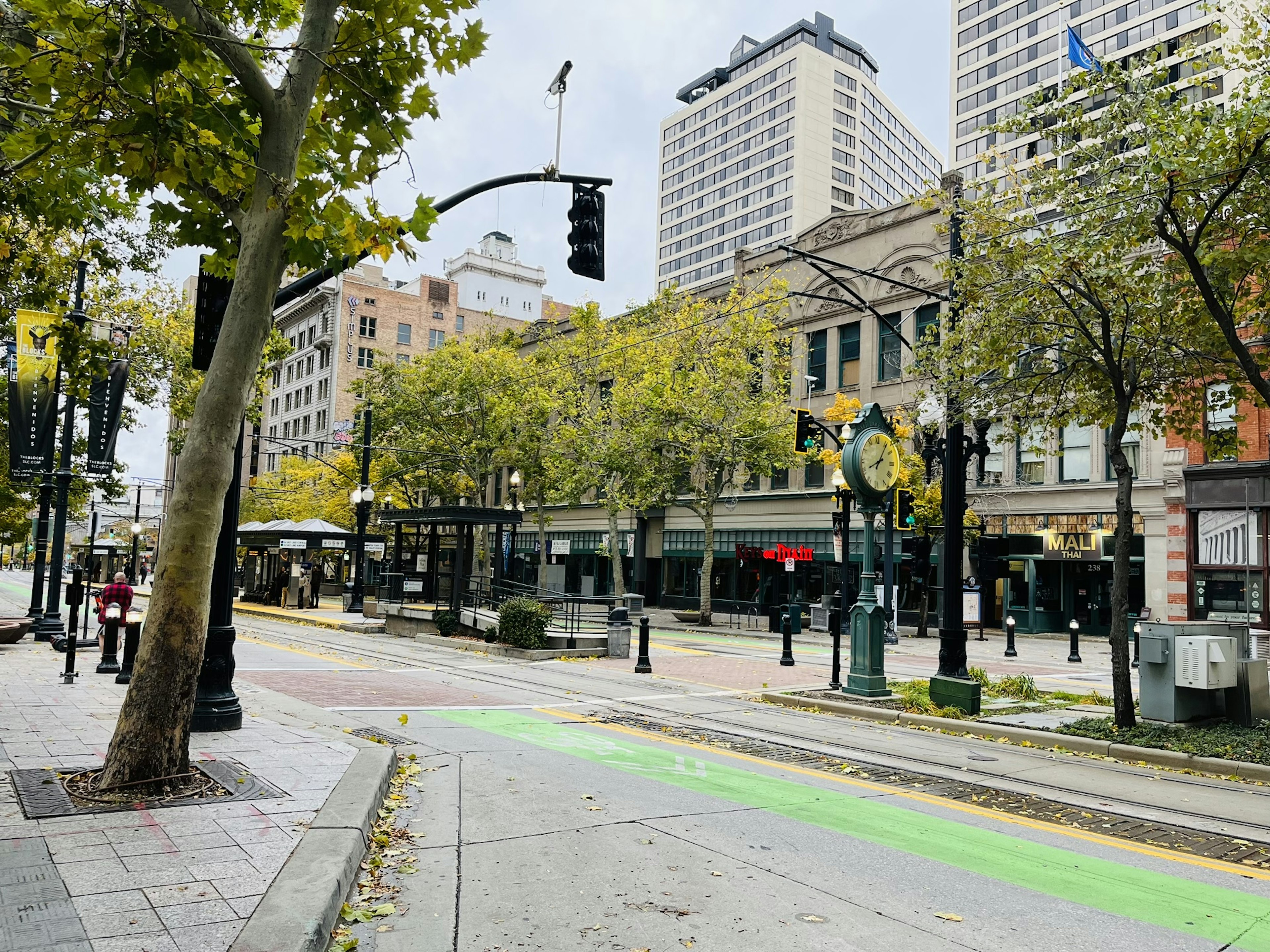 Vista de calle urbana con carril bici verde y árboles