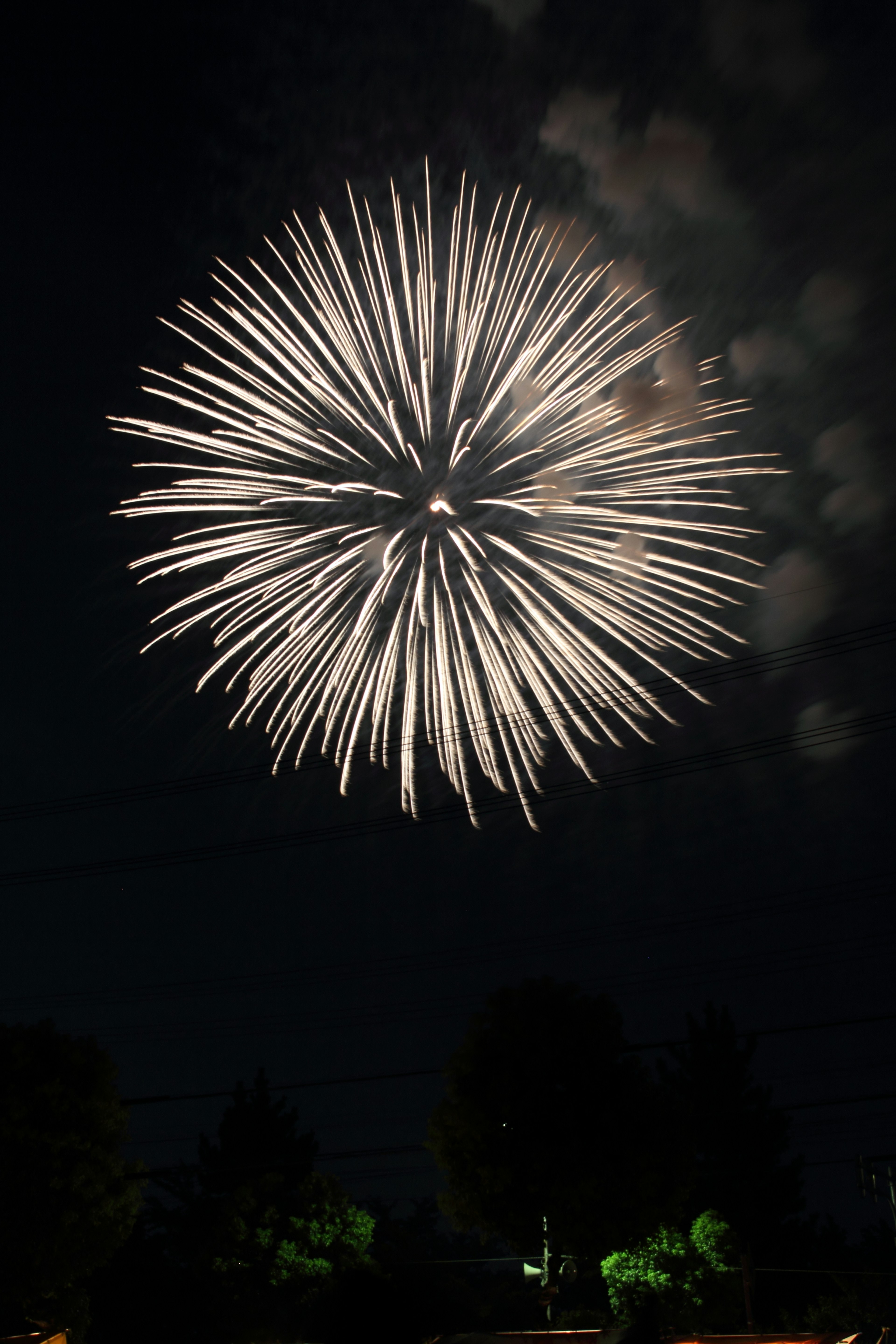 White firework explosion in the night sky