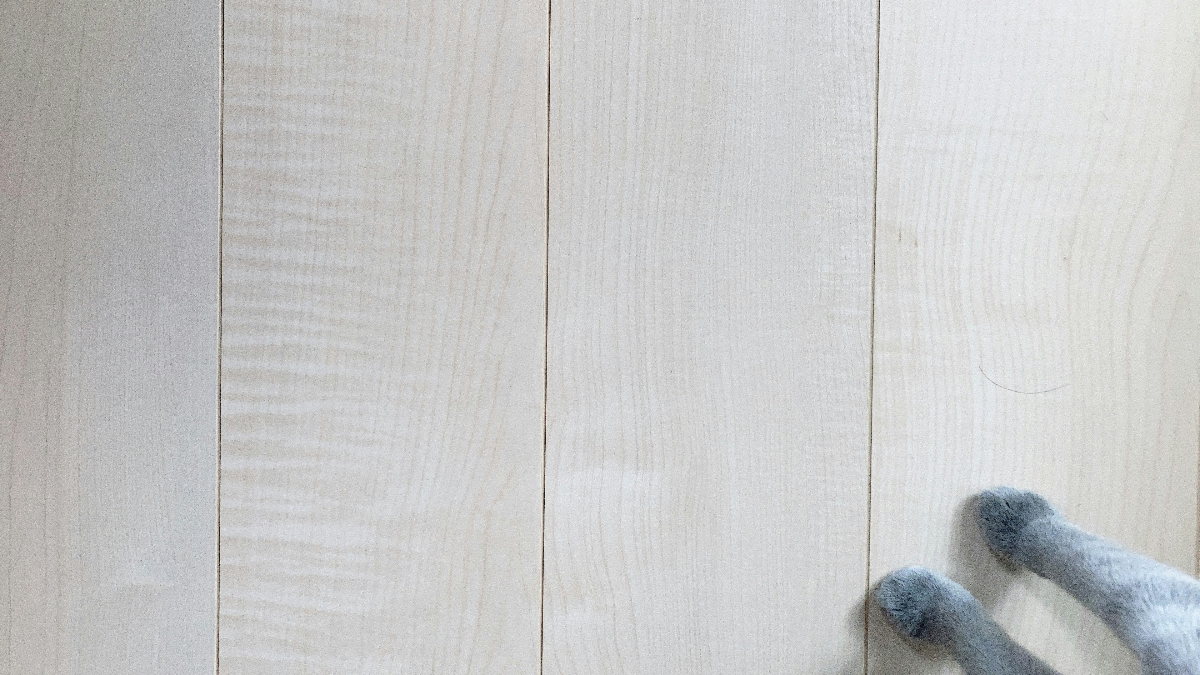 Light wood grain flooring with gray cat paws