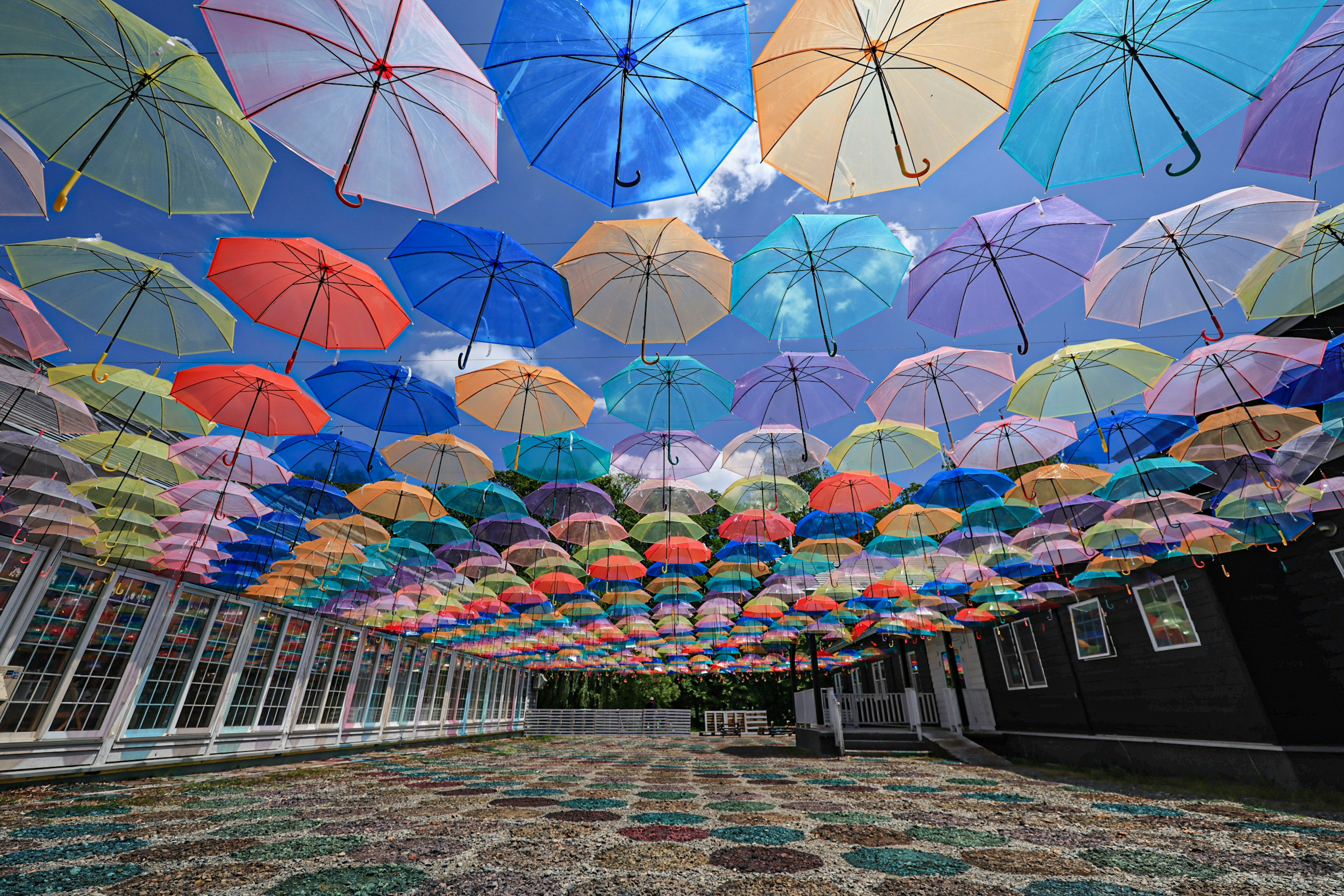 Bunte Regenschirme, die am Himmel hängen