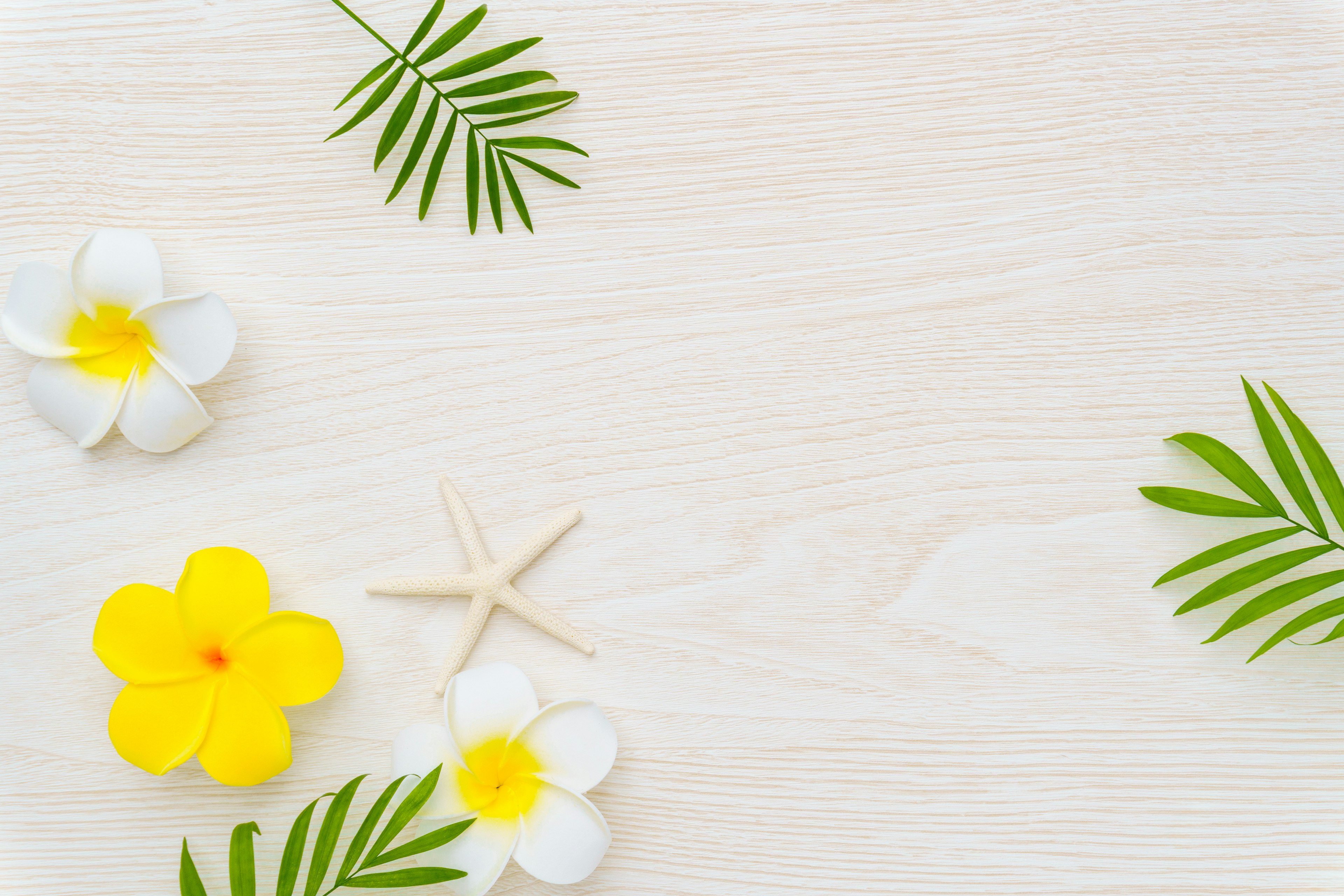 Arrangement naturel de fleurs jaunes et blanches avec une étoile de mer