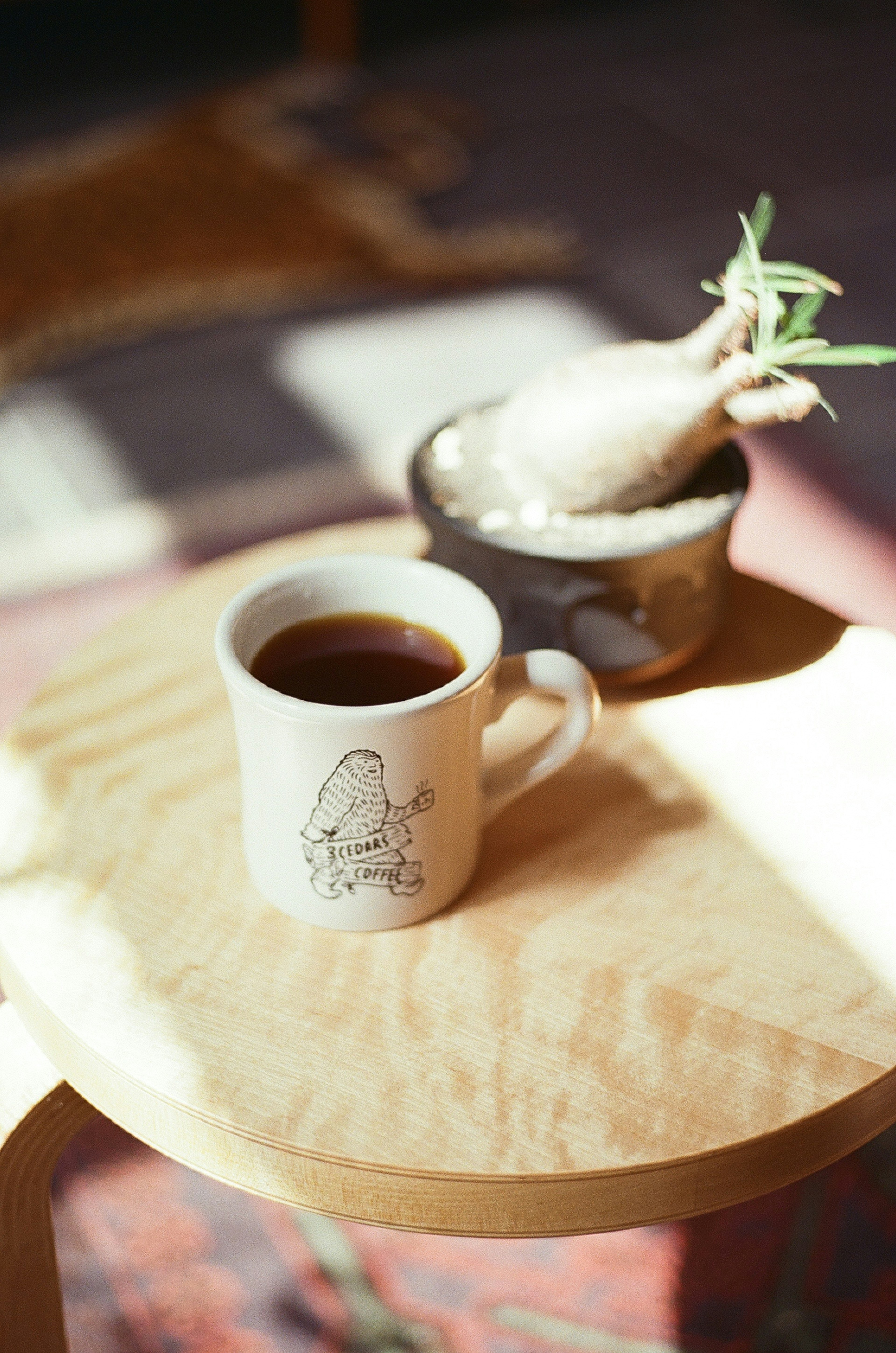 木のテーブルの上にコーヒーカップと観葉植物の入った鉢が置かれたシーン