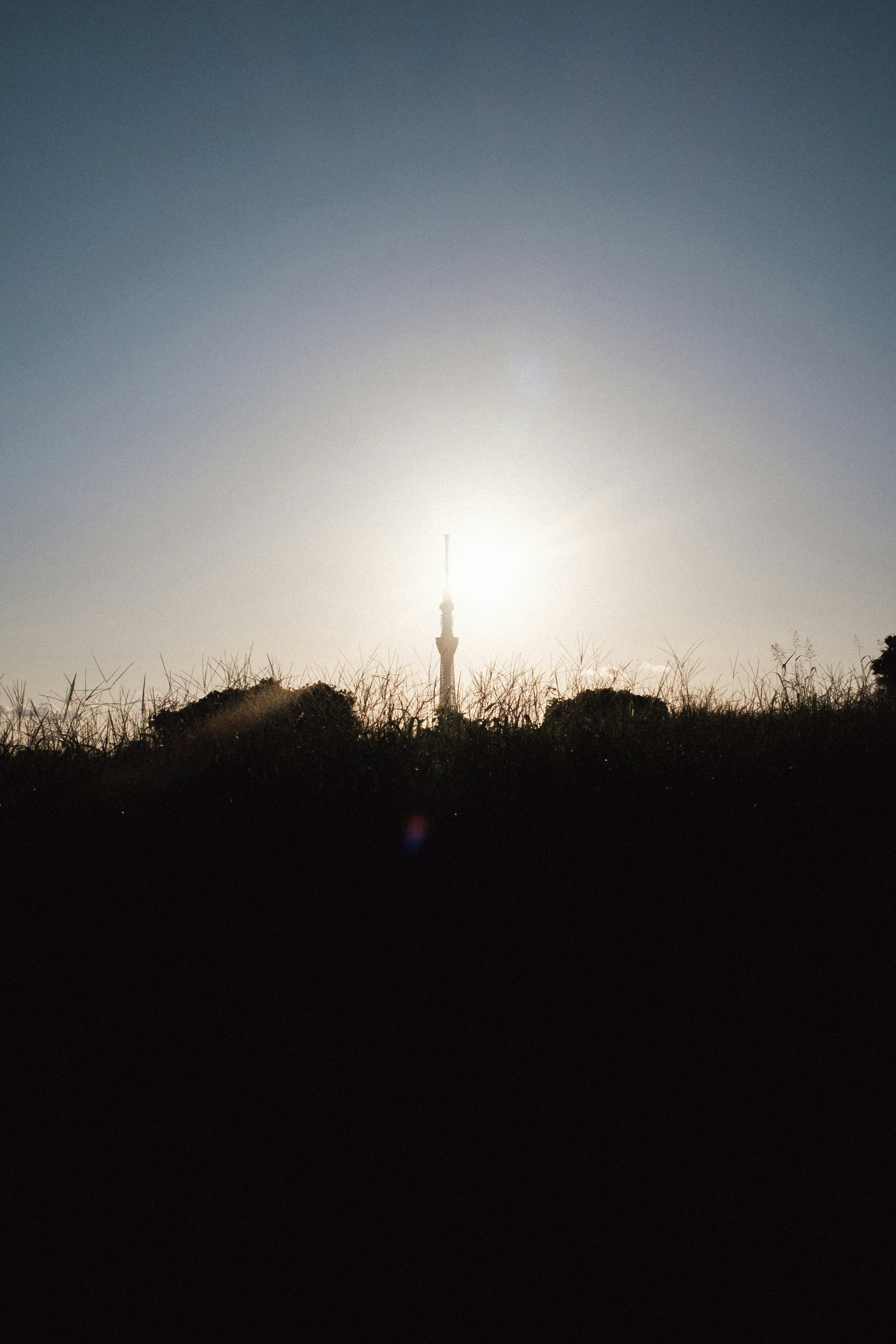 Silhouette eines Turms vor dem Sonnenuntergang mit Gras im Vordergrund