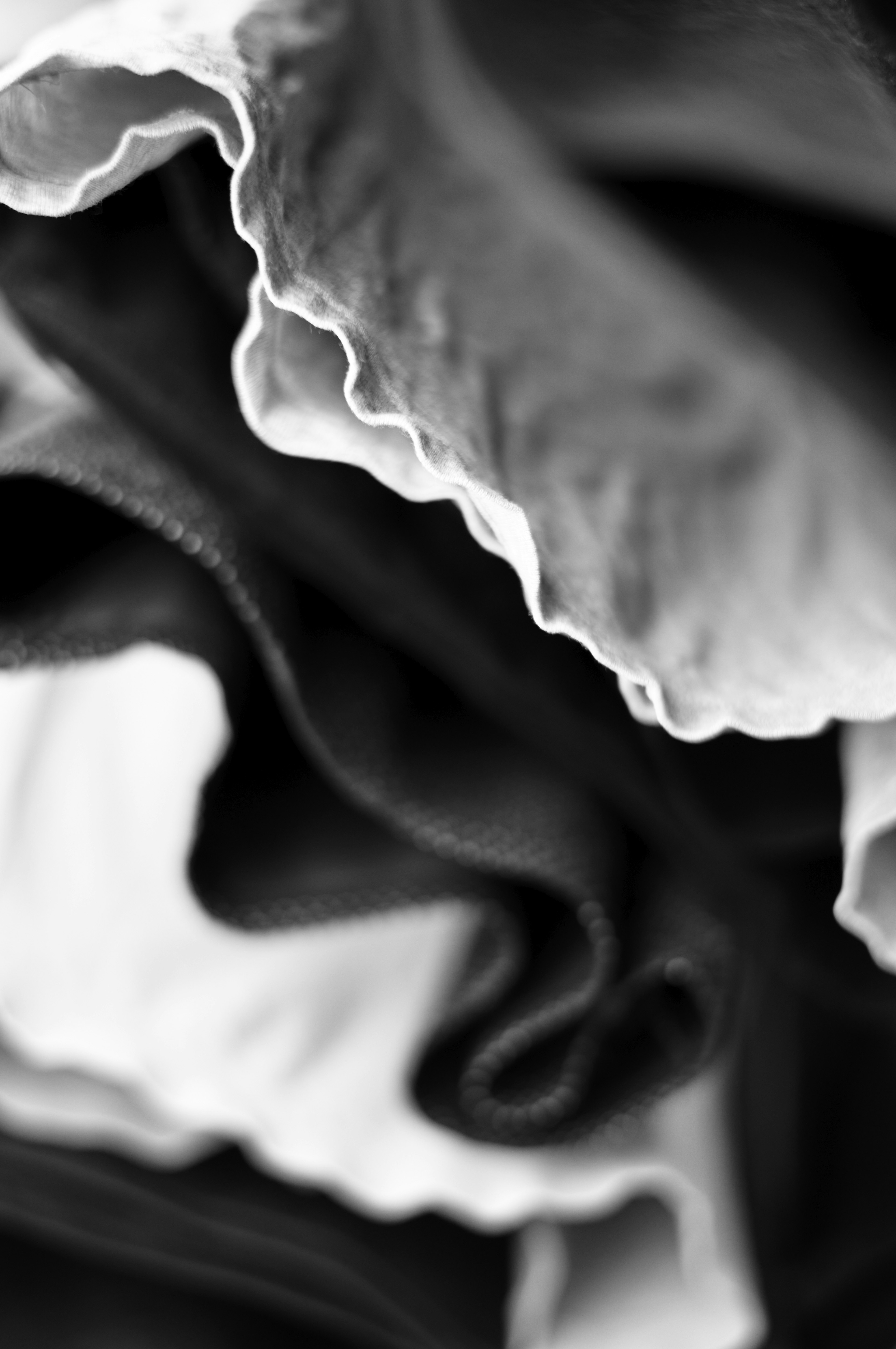 Close-up of black and white fabric showcasing soft curves and folds