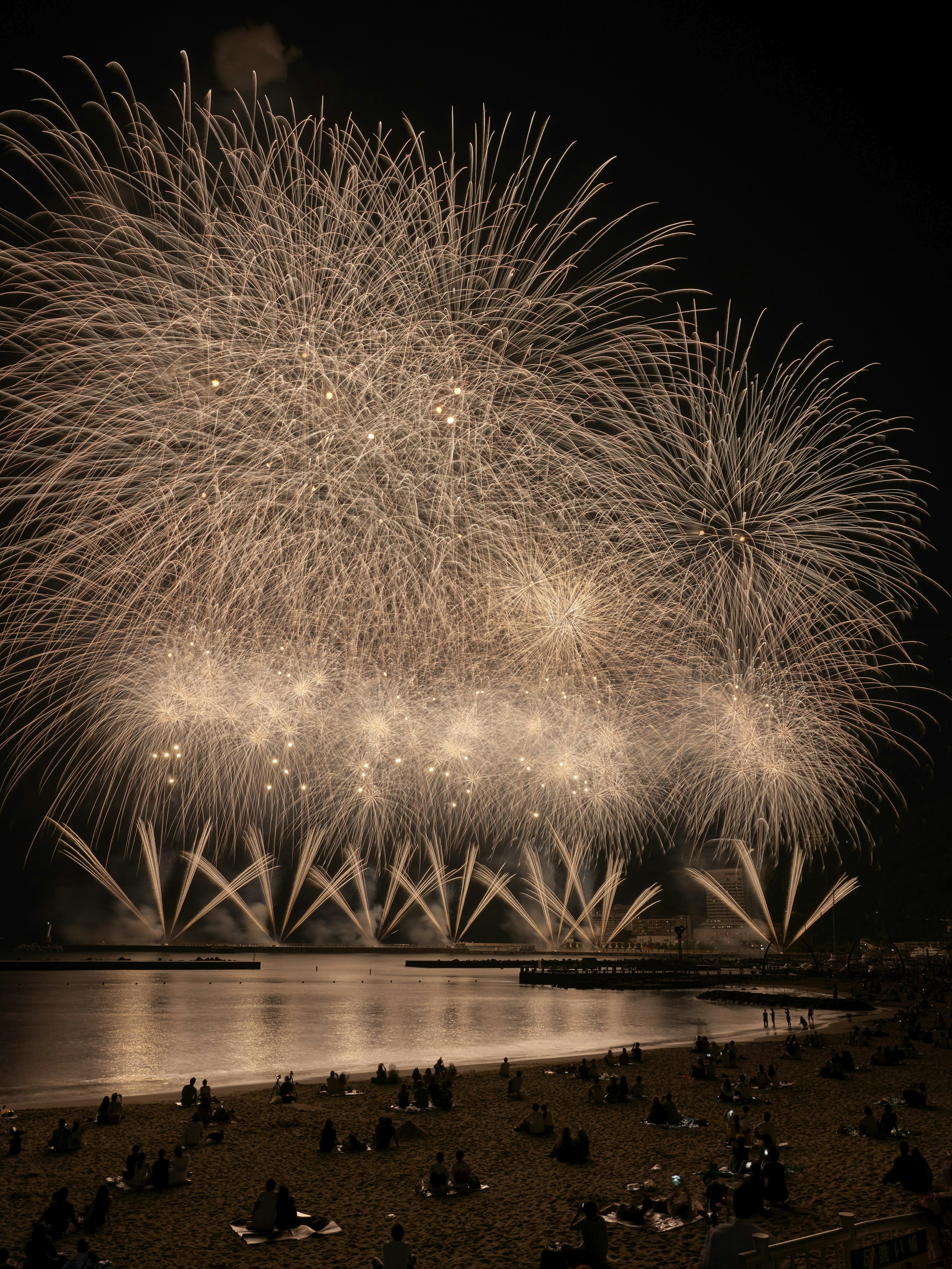 夜空に広がる花火のショーで輝く光と色彩を持つ