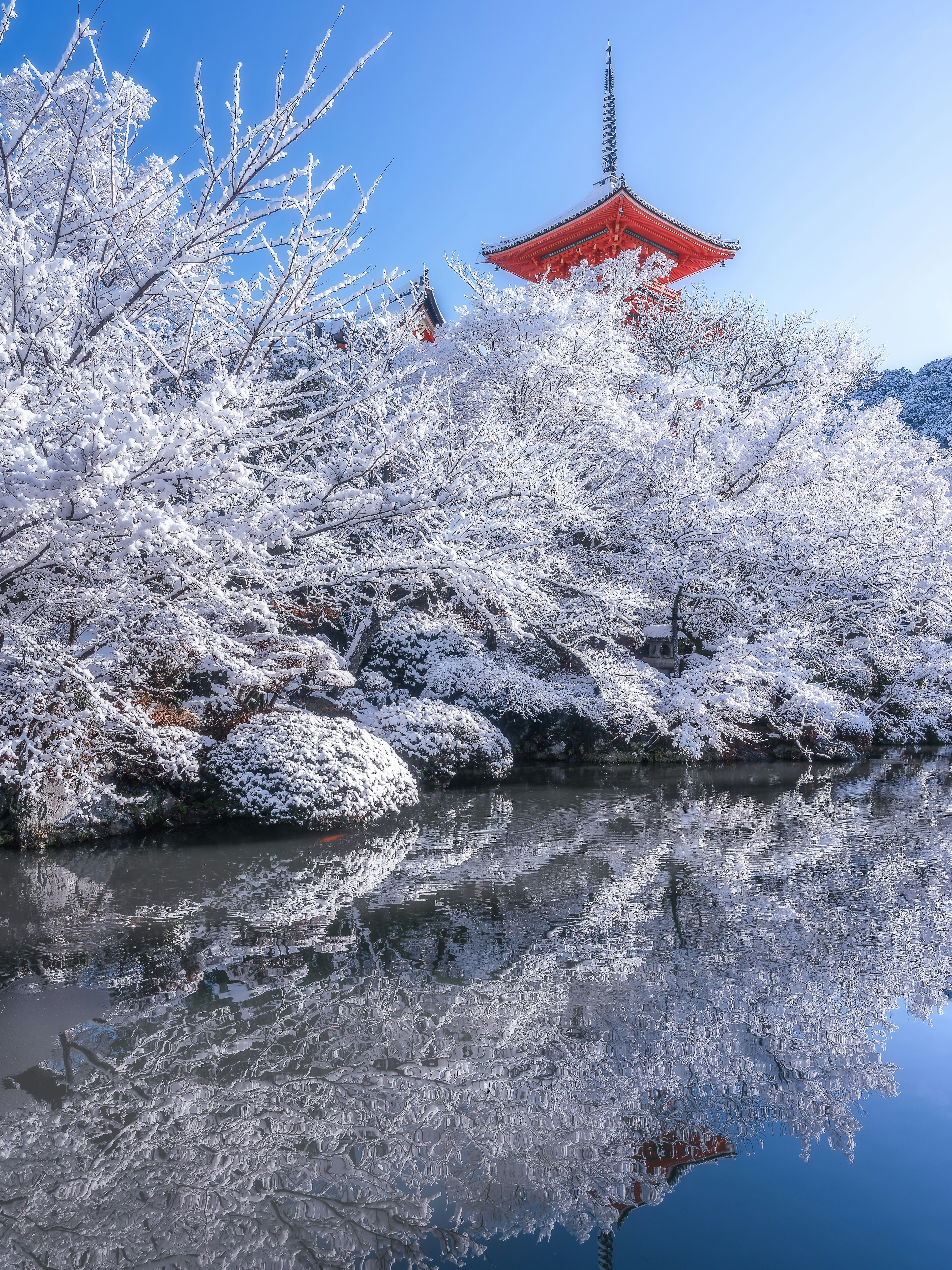 Mit Schnee bedeckte Kirschbäume und eine rote Pagode spiegeln sich im ruhigen Wasser