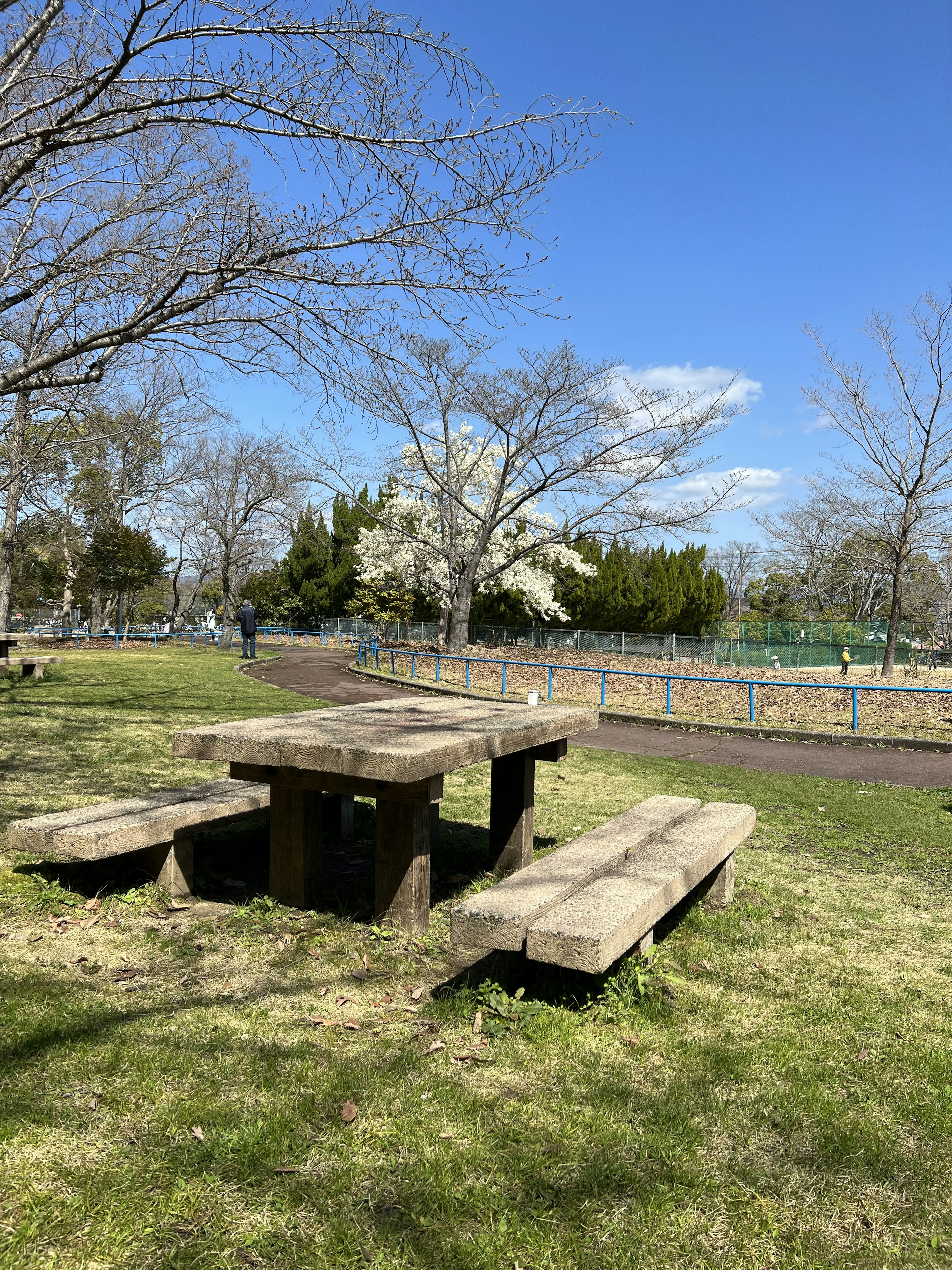 Wooden picnic table and benches in a park setting