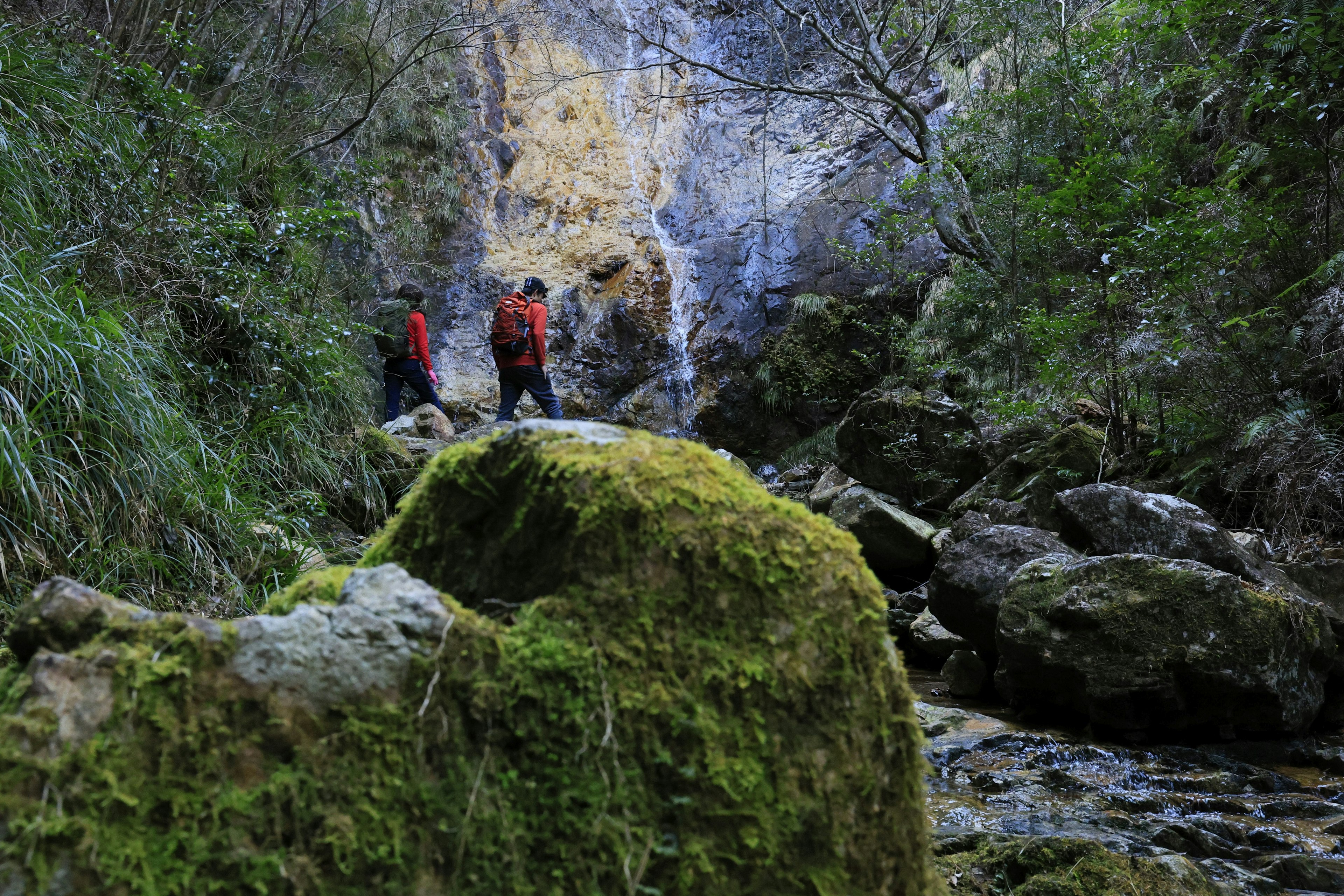 Due escursionisti che camminano in un canyon lussureggiante vicino a una cascata