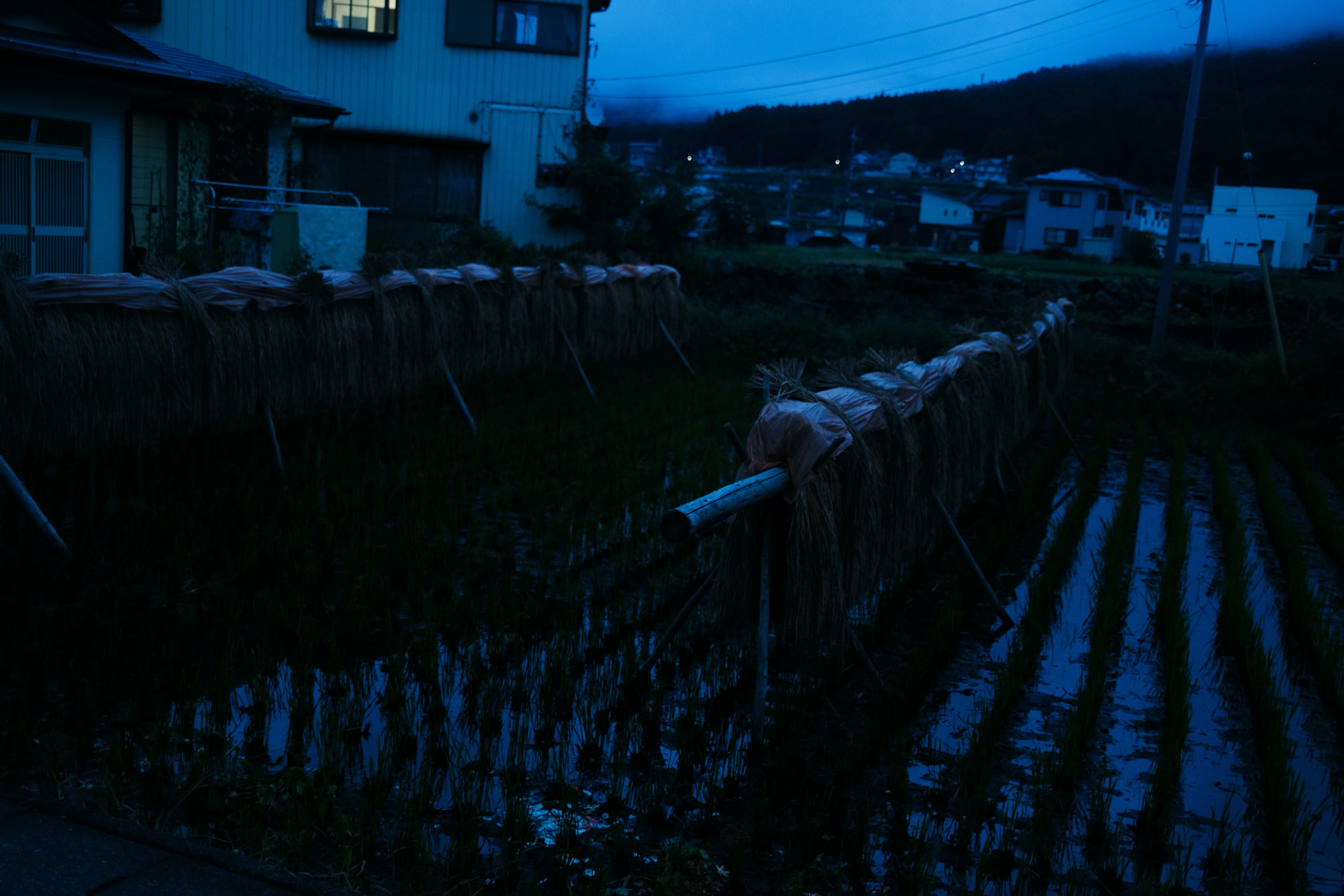 Paisaje de campos de arroz y casa bajo un cielo nocturno azul