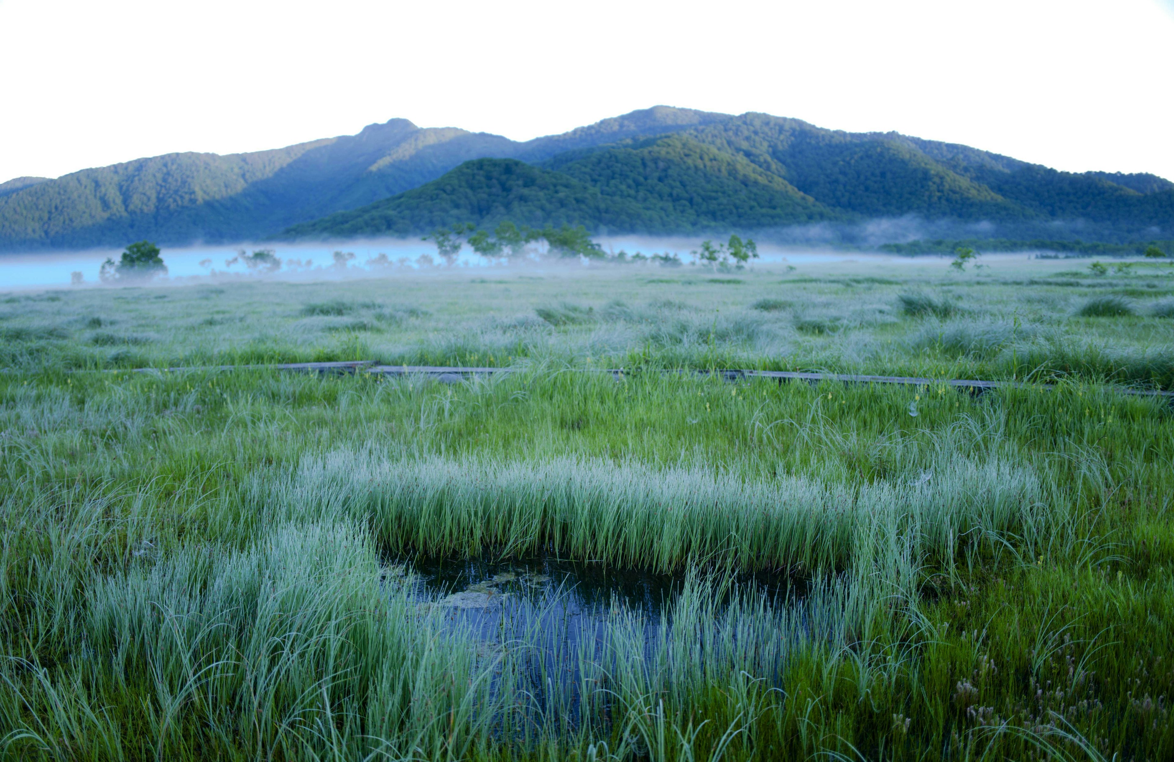 Paysage brumeux de marais et de montagnes le matin