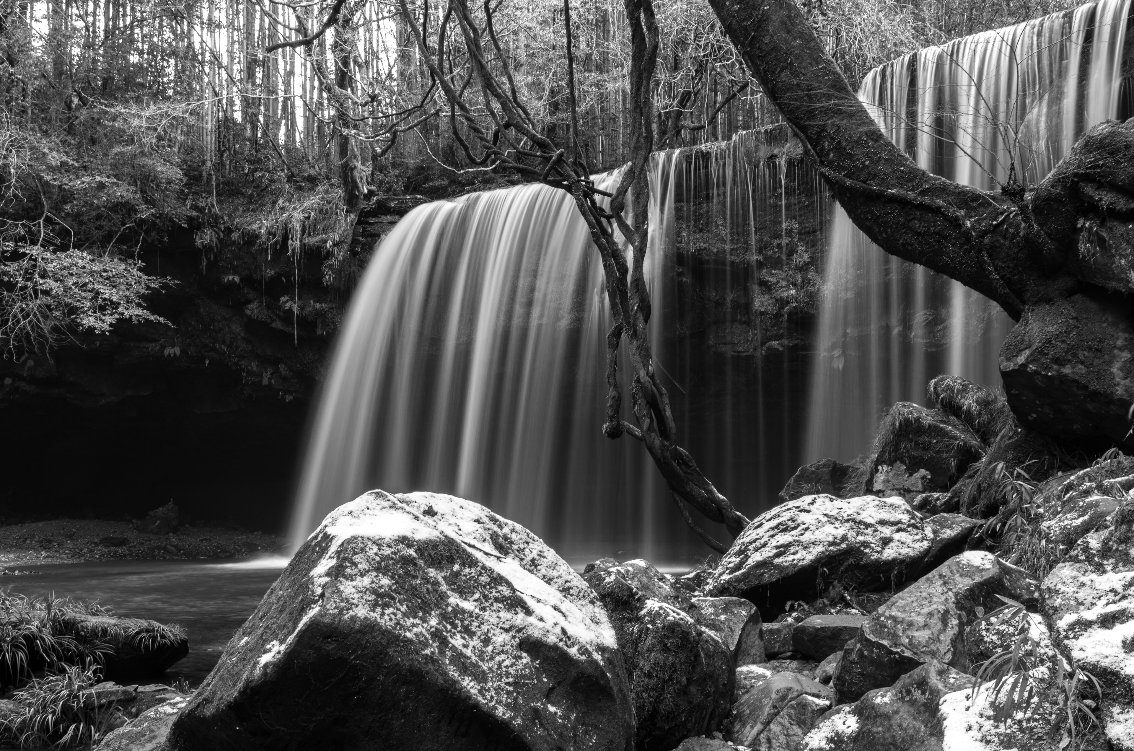 Hermoso paisaje de cascada en blanco y negro con agua fluyendo y rocas rodeadas de bosque