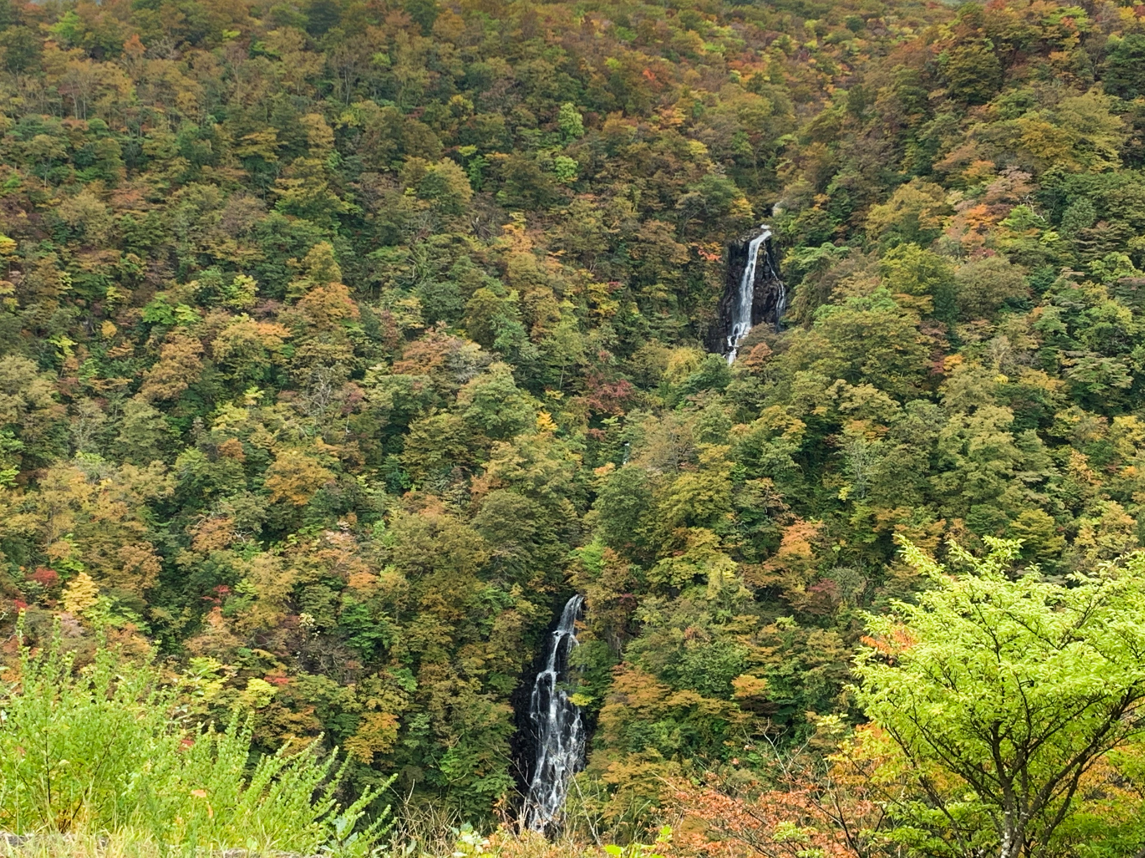 Vue pittoresque de deux cascades à travers une forêt avec un feuillage d'automne