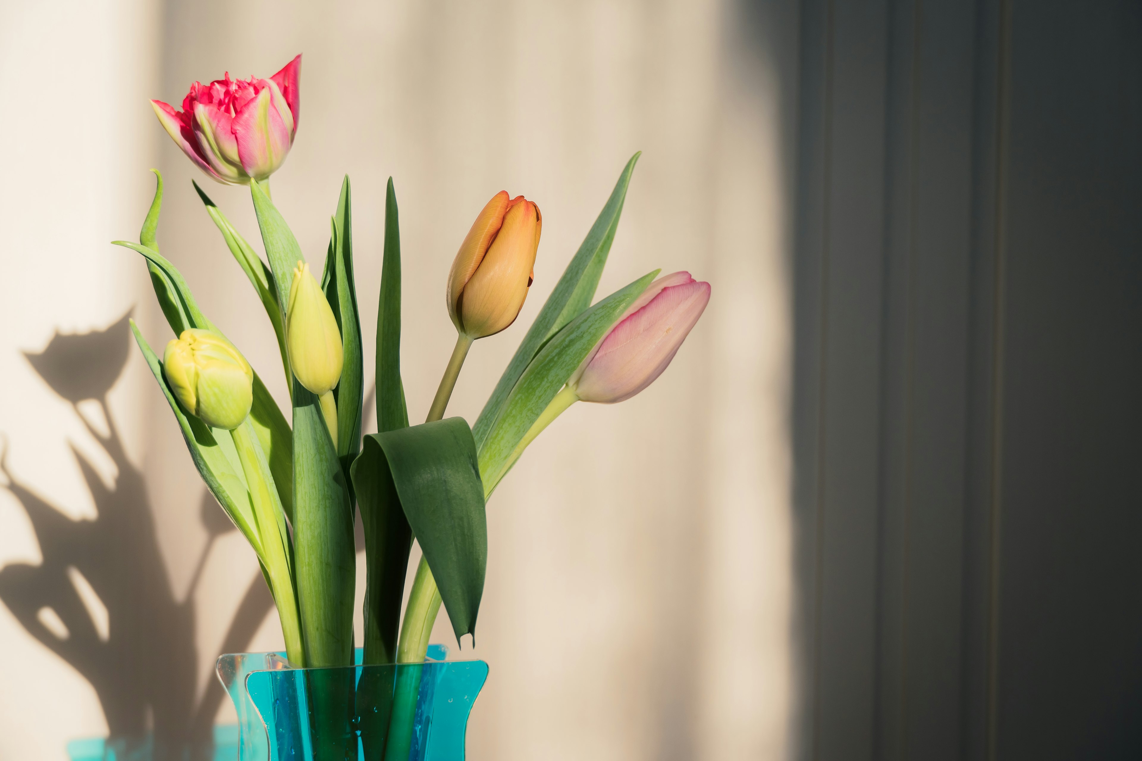 Tulip berwarna-warni dalam vas biru di bawah cahaya lembut