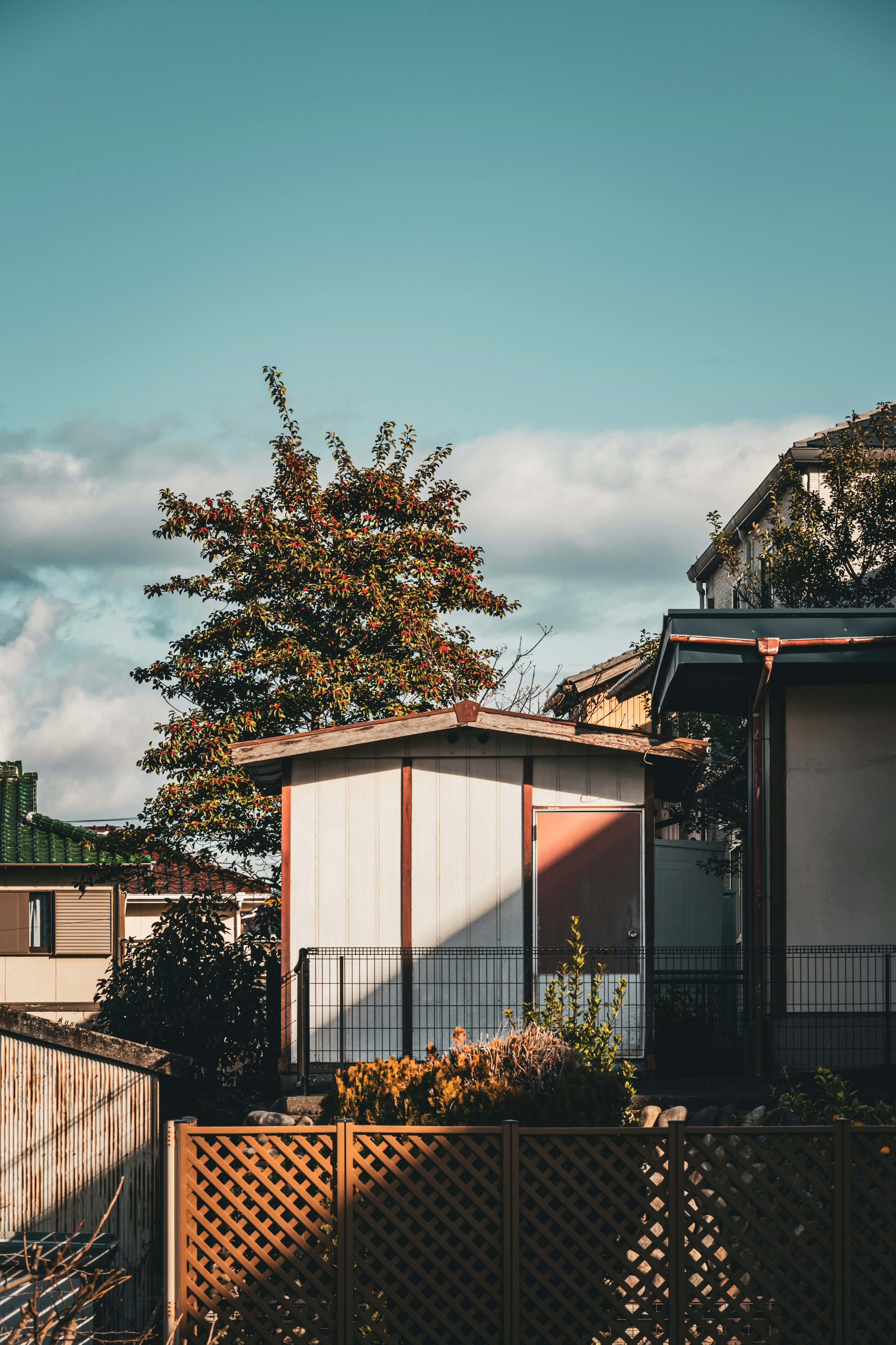 青空の下にある住宅と木々の風景